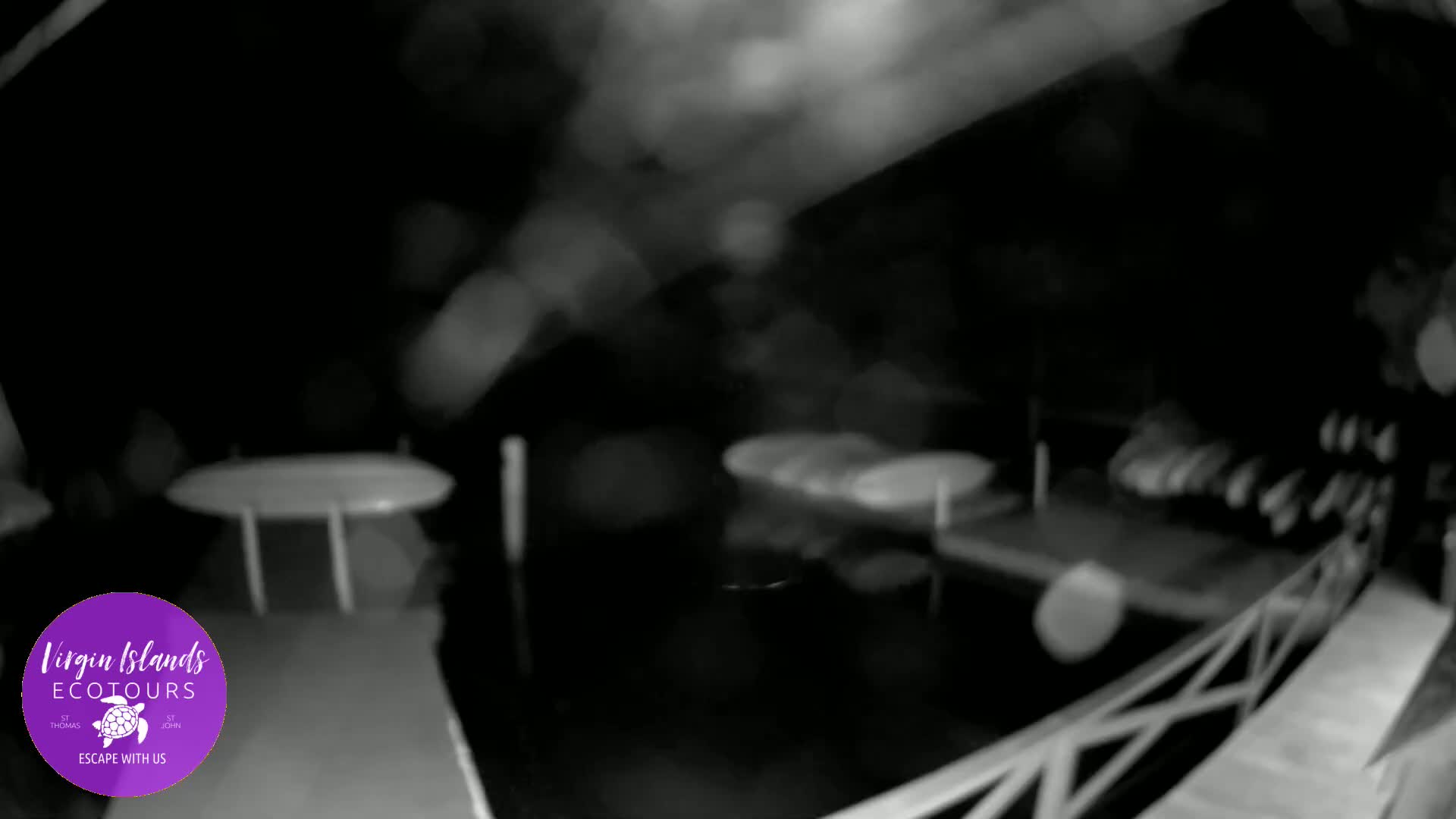 St. Thomas, Bovoni, Mangrove Lagoon Lake Live Cam - Southside, St. Thomas, United States Virgin Islands, USA