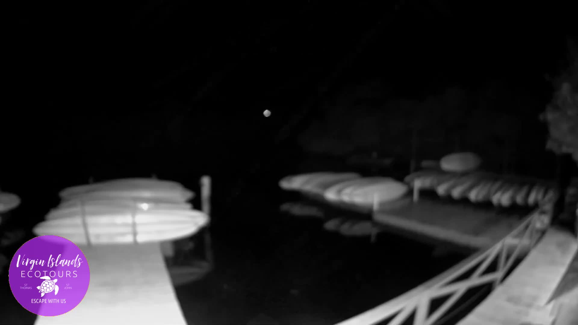 A blurry, low-light grayscale image shows a calm waterfront area at night, featuring several white, stacked kayaks or paddleboards on docks.