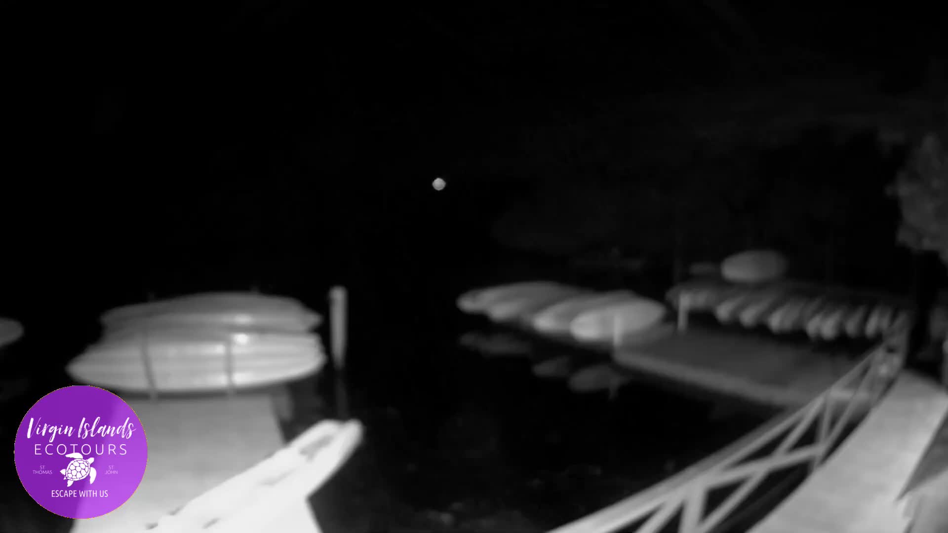 St. Thomas, Bovoni, Mangrove Lagoon Lake Live Cam - Southside, St. Thomas, United States Virgin Islands, USA