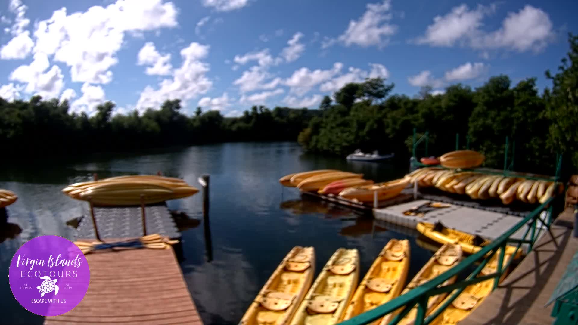St. Thomas, Bovoni, Mangrove Lagoon Lake Live Cam - Southside, St. Thomas, United States Virgin Islands, USA