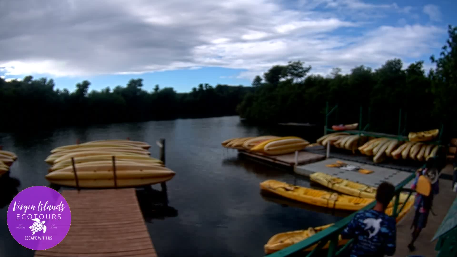 St. Thomas, Bovoni, Mangrove Lagoon Lake Live Cam - Southside, St. Thomas, United States Virgin Islands, USA
