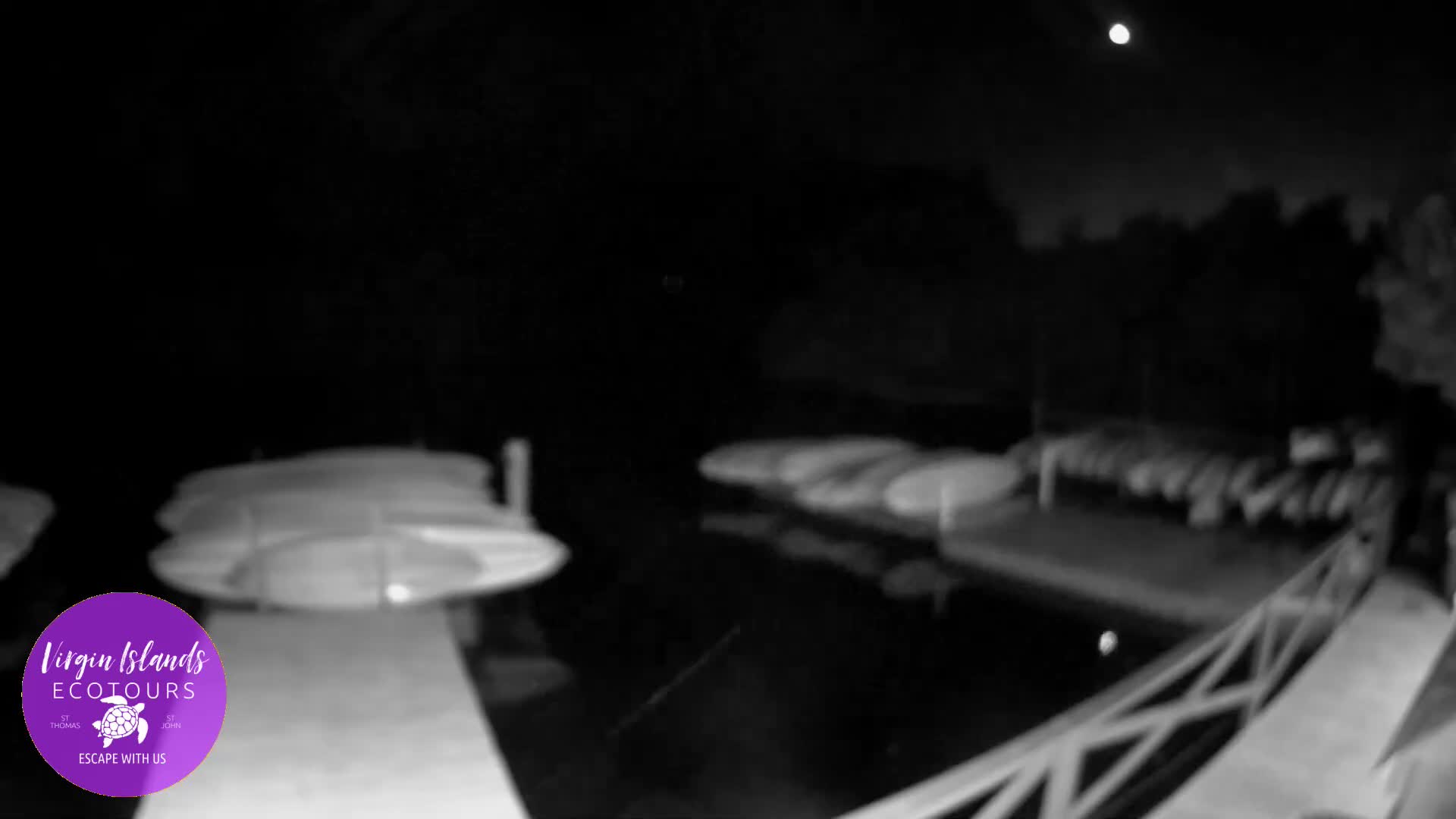 St. Thomas, Bovoni, Mangrove Lagoon Lake Live Cam - Southside, St. Thomas, United States Virgin Islands, USA