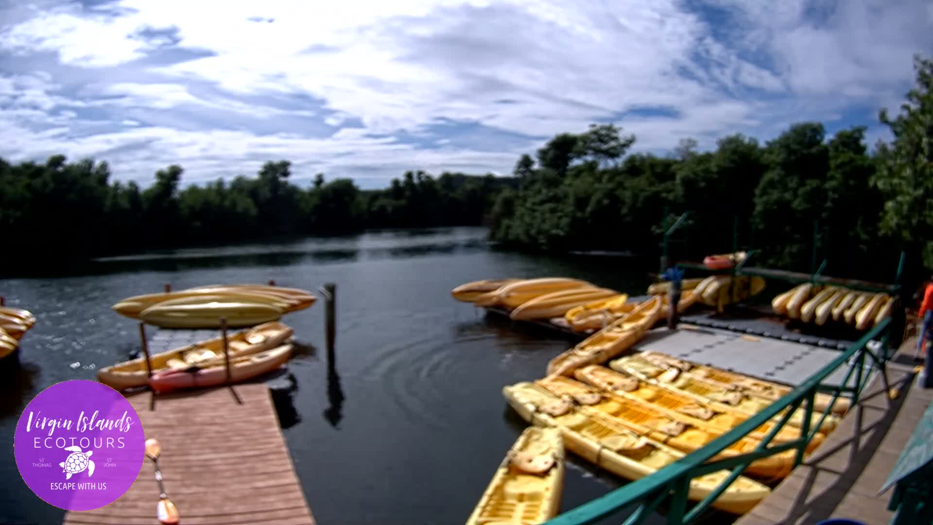 St. Thomas, Bovoni, Mangrove Lagoon Lake Live Cam - Southside, St. Thomas, United States Virgin Islands, USA