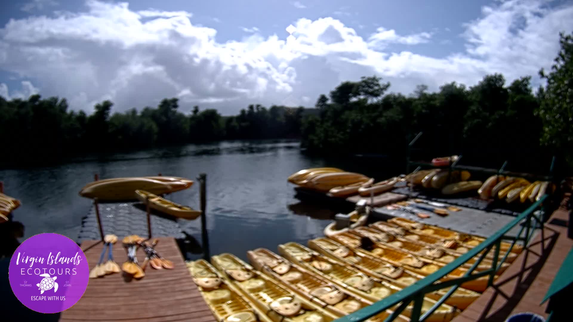 St. Thomas, Bovoni, Mangrove Lagoon Lake Live Cam - Southside, St. Thomas, United States Virgin Islands, USA