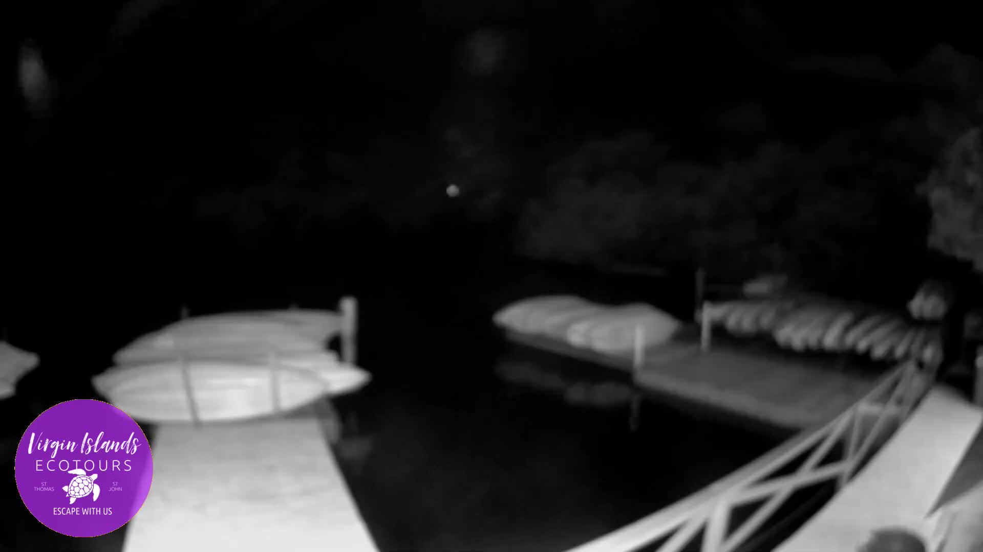 St. Thomas, Bovoni, Mangrove Lagoon Lake Live Cam - Southside, St. Thomas, United States Virgin Islands, USA