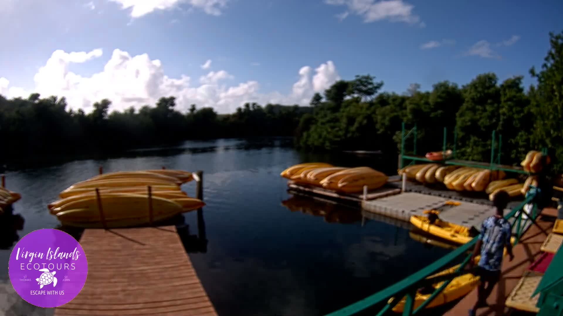 St. Thomas, Bovoni, Mangrove Lagoon Lake Live Cam - Southside, St. Thomas, United States Virgin Islands, USA