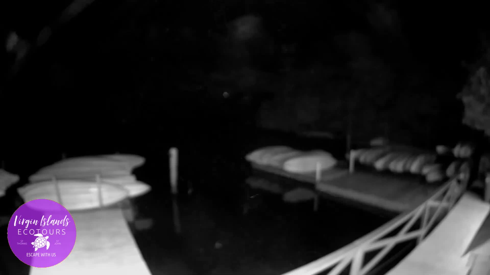 St. Thomas, Bovoni, Mangrove Lagoon Lake Live Cam - Southside, St. Thomas, United States Virgin Islands, USA