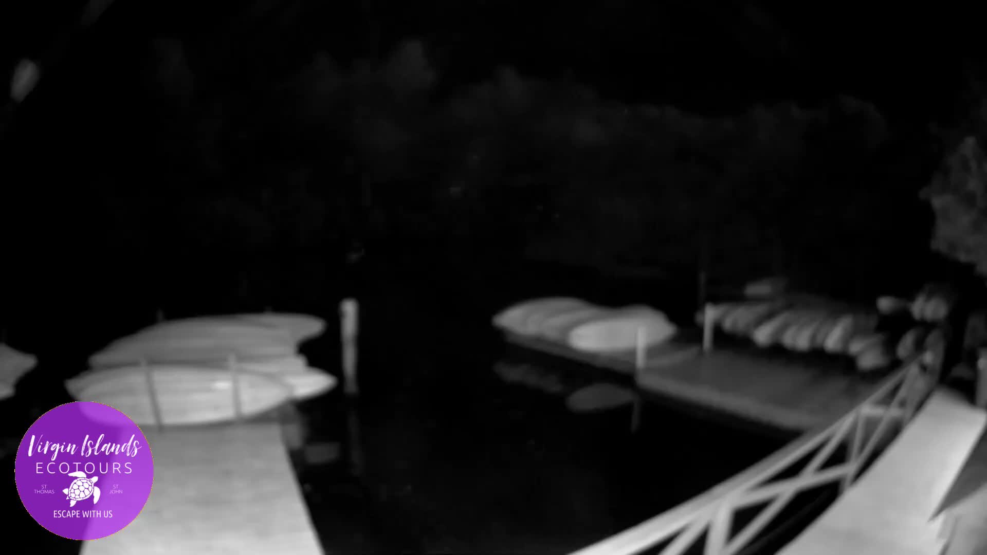 A blurry, black and white nighttime image reveals a calm body of water with two docks stacked with numerous paddleboards or kayaks, and a wooden railing in the foreground, under clear night conditions.