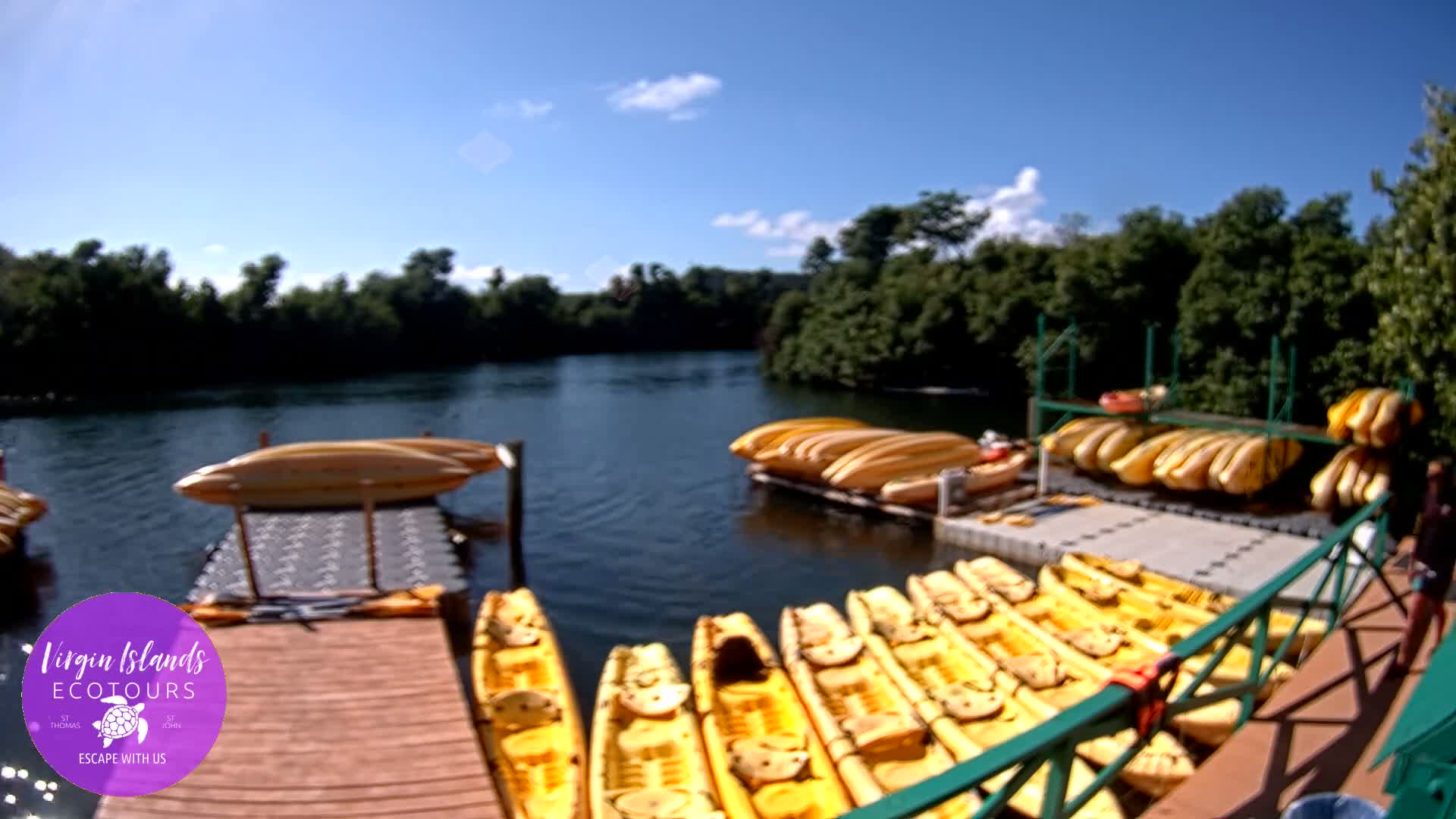 St. Thomas, Bovoni, Mangrove Lagoon Lake Live Cam - Southside, St. Thomas, United States Virgin Islands, USA