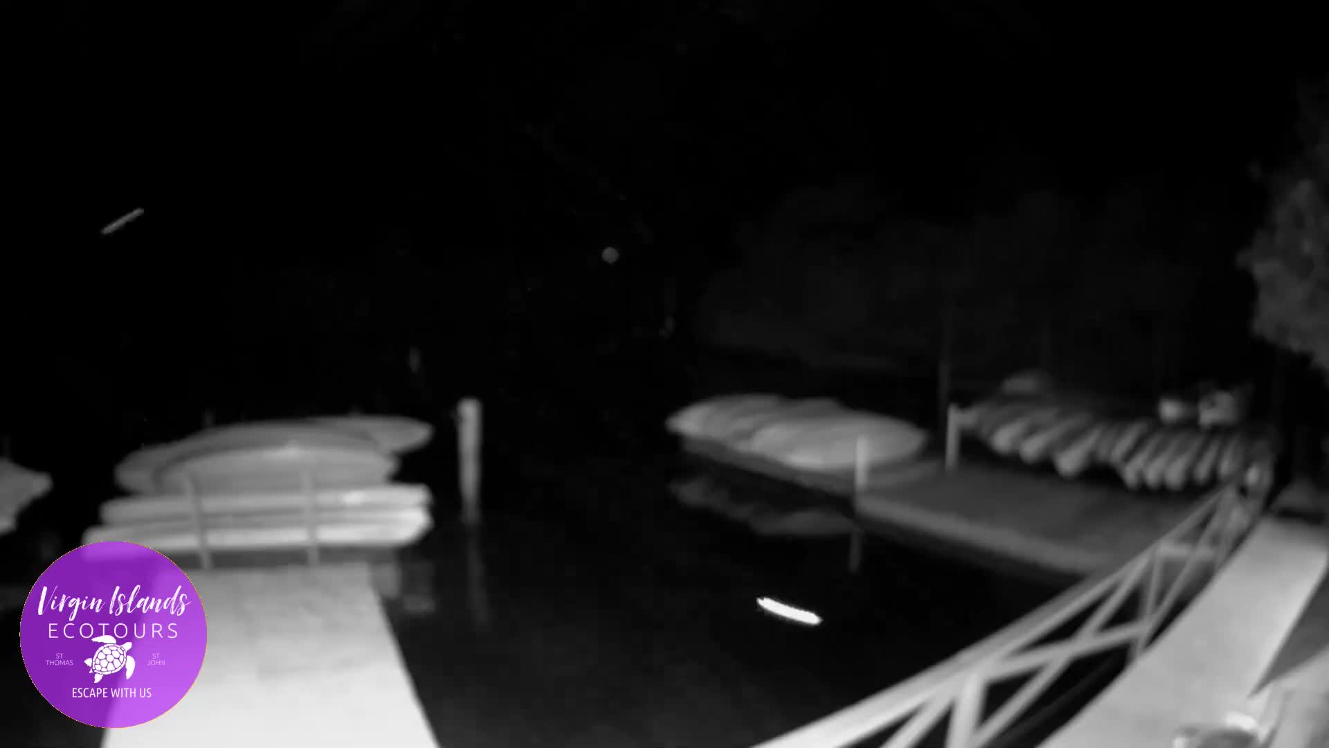 St. Thomas, Bovoni, Mangrove Lagoon Lake Live Cam - Southside, St. Thomas, United States Virgin Islands, USA