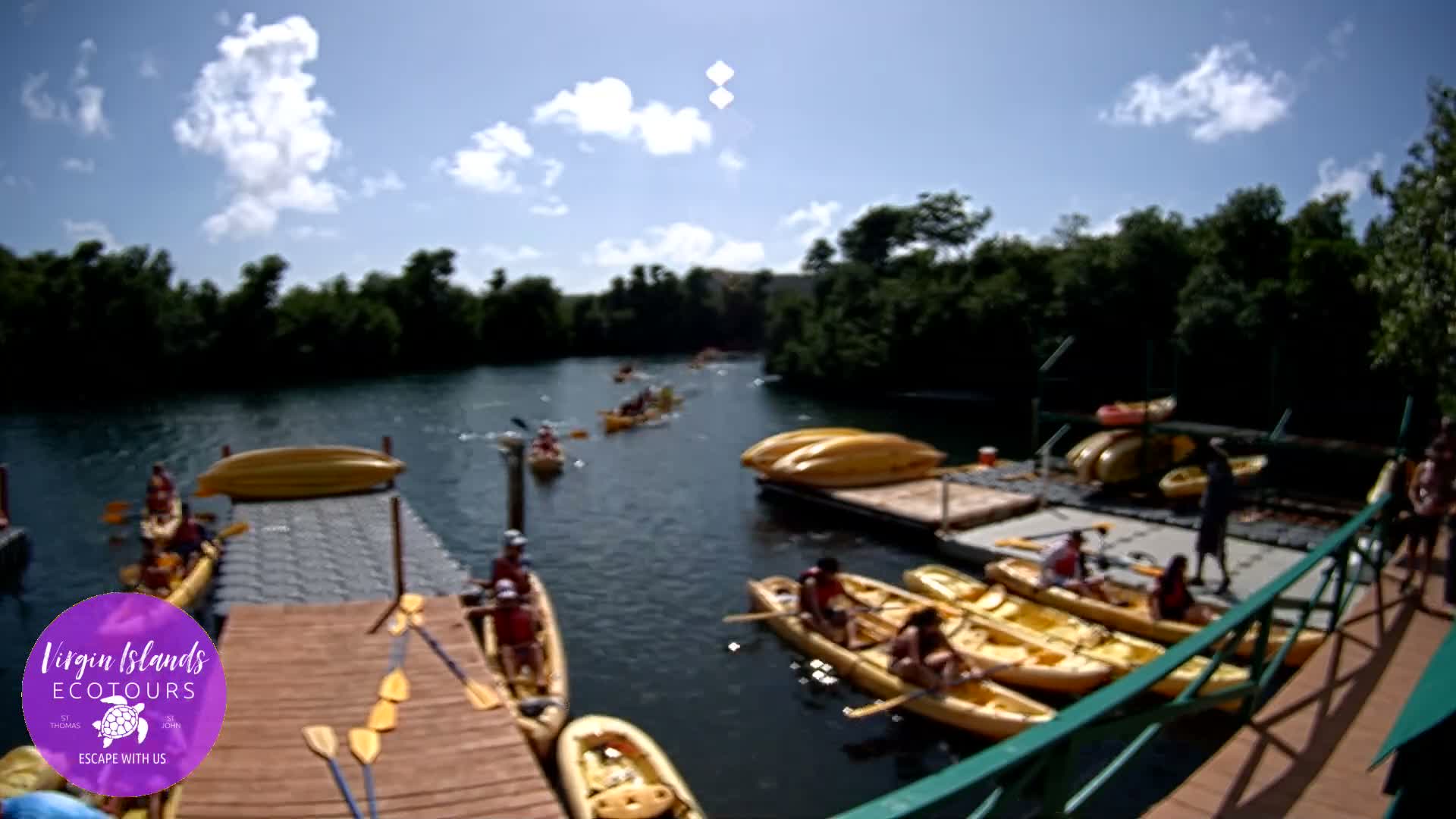 A blurry, black and white nighttime image reveals a calm body of water with two docks stacked with numerous paddleboards or kayaks, and a wooden railing in the foreground, under clear night conditions.