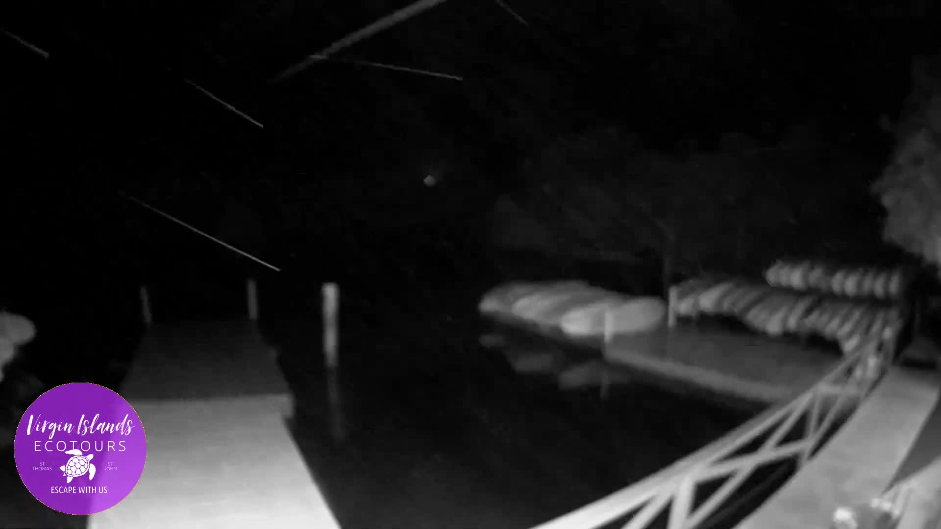 St. Thomas, Bovoni, Mangrove Lagoon Lake Live Cam - Southside, St. Thomas, United States Virgin Islands, USA