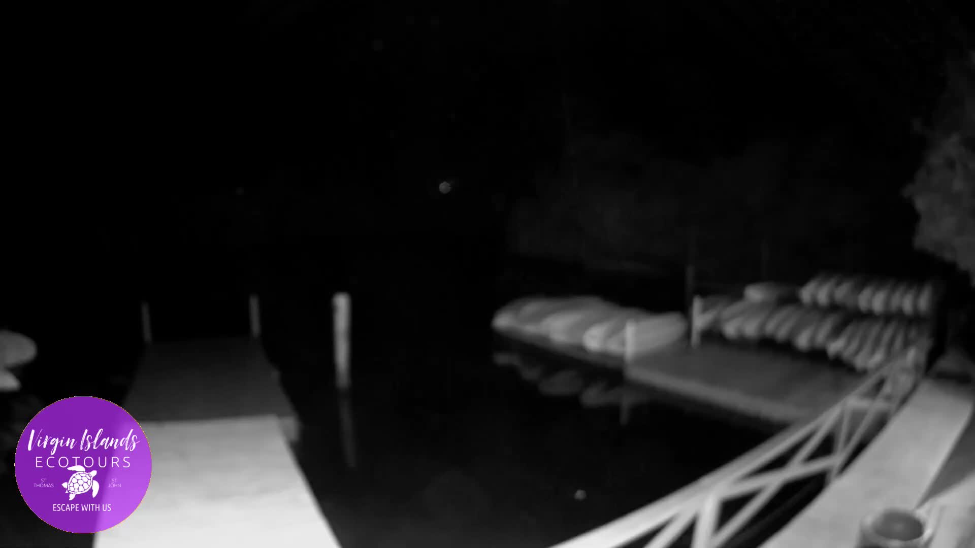 St. Thomas, Bovoni, Mangrove Lagoon Lake Live Cam - Southside, St. Thomas, United States Virgin Islands, USA