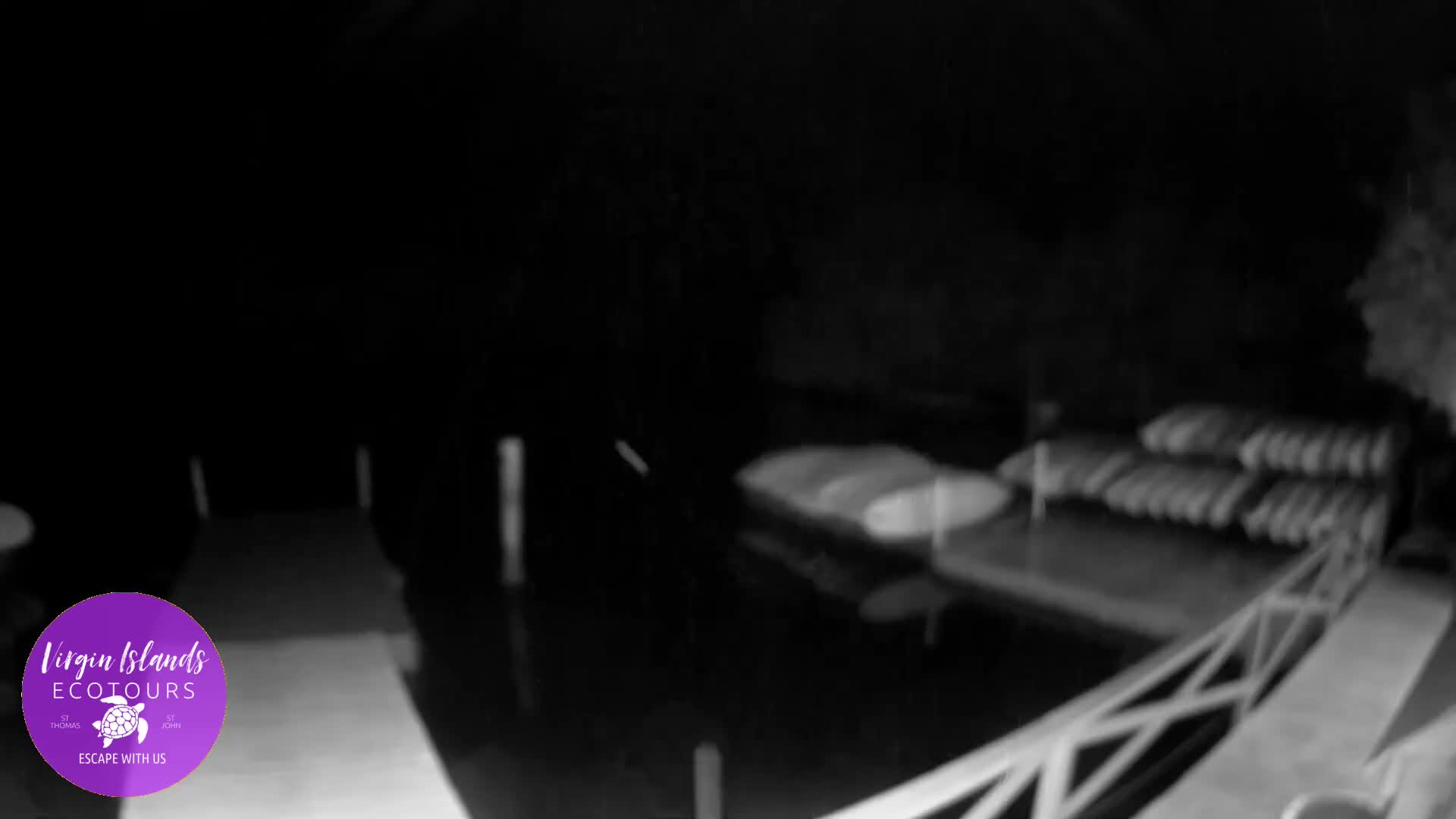 St. Thomas, Bovoni, Mangrove Lagoon Lake Live Cam - Southside, St. Thomas, United States Virgin Islands, USA