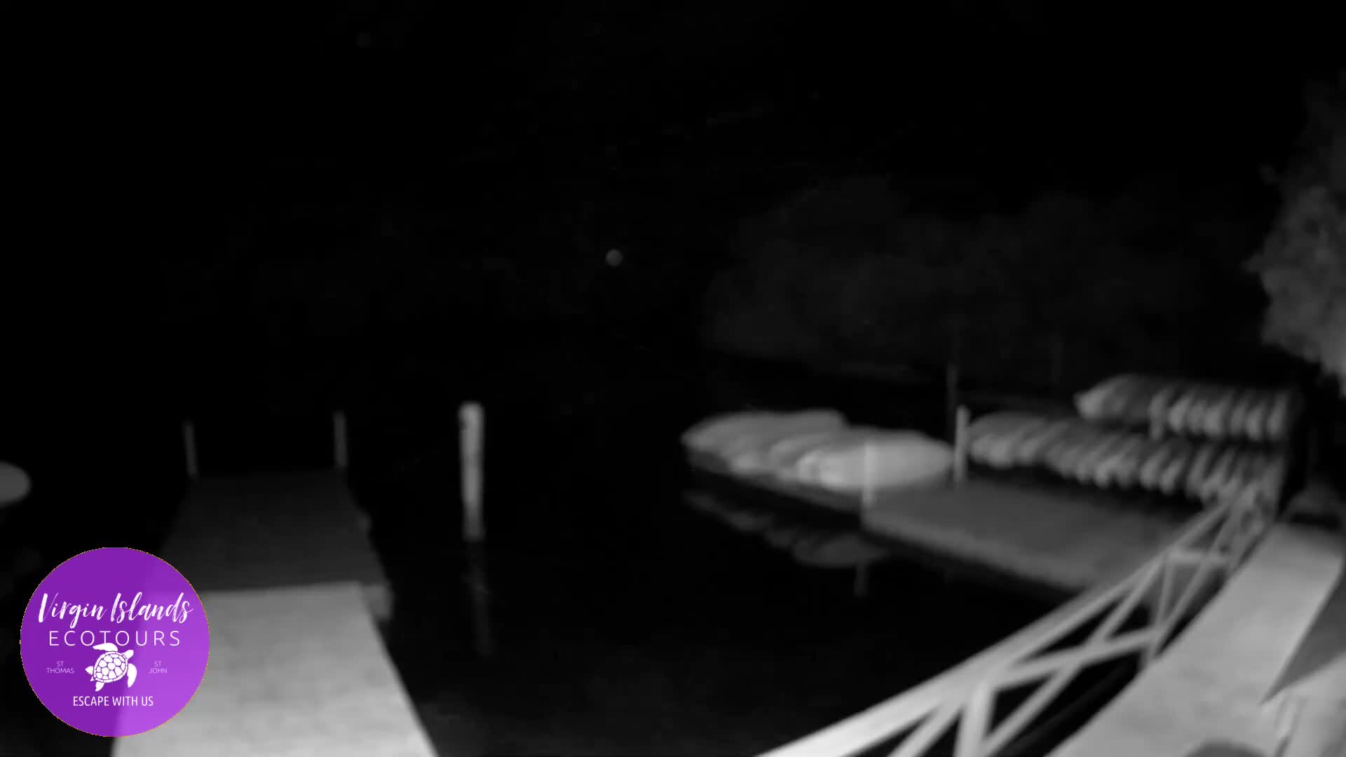 St. Thomas, Bovoni, Mangrove Lagoon Lake Live Cam - Southside, St. Thomas, United States Virgin Islands, USA