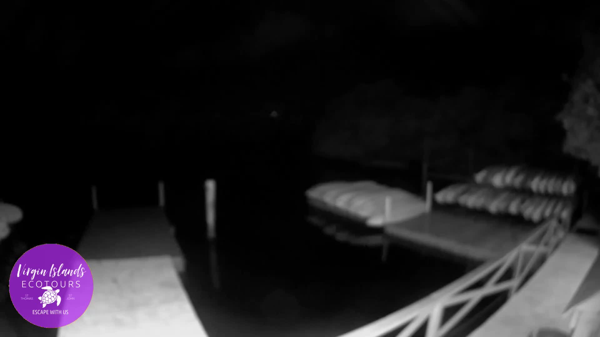 St. Thomas, Bovoni, Mangrove Lagoon Lake Live Cam - Southside, St. Thomas, United States Virgin Islands, USA