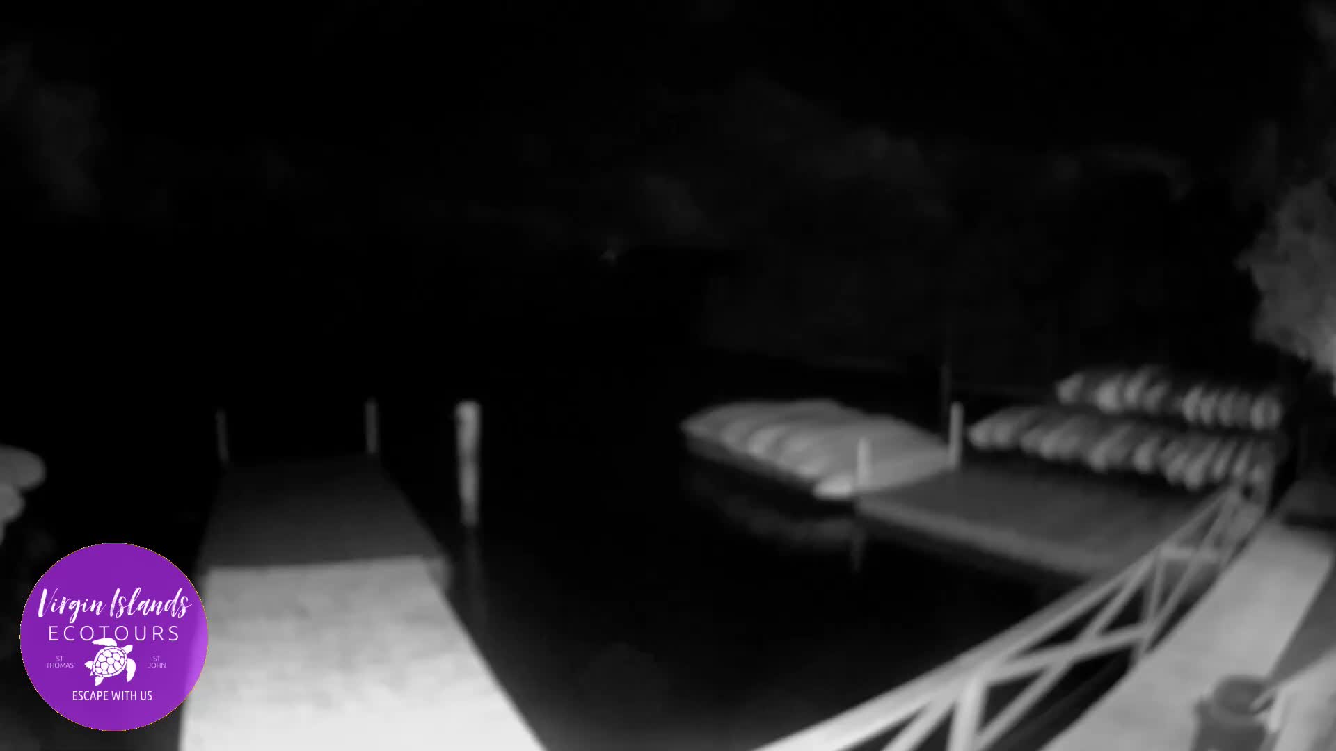 St. Thomas, Bovoni, Mangrove Lagoon Lake Live Cam - Southside, St. Thomas, United States Virgin Islands, USA