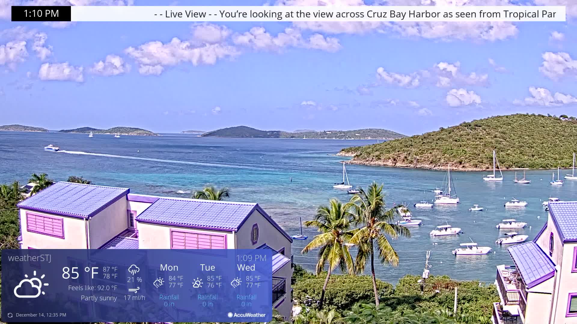 A dark, serene nighttime scene captures a bay filled with numerous anchored boats, flanked by residential buildings and a prominent palm tree in the foreground, all under a partly cloudy sky.