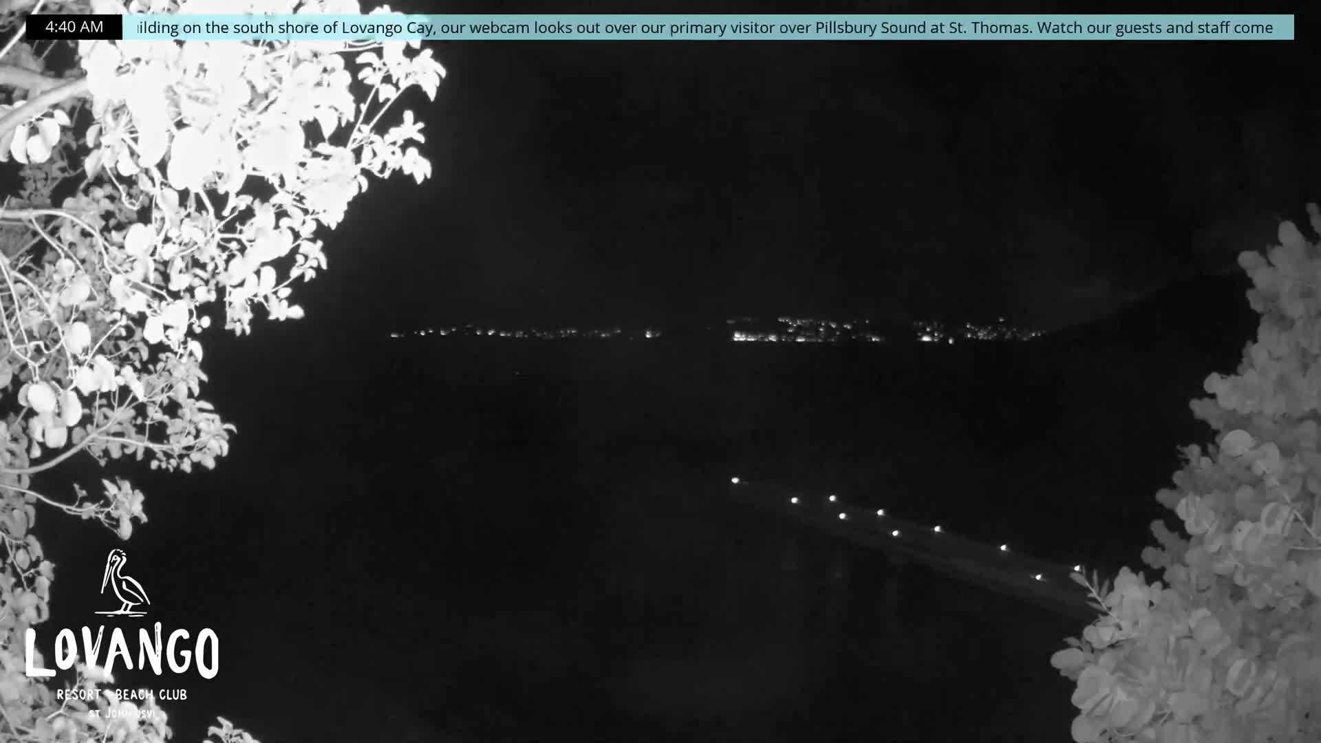 A clear night view over a dark body of water is framed by brightly illuminated trees on the sides, with a lit pier extending from the lower right into the water and faint distant city lights visible on the horizon.