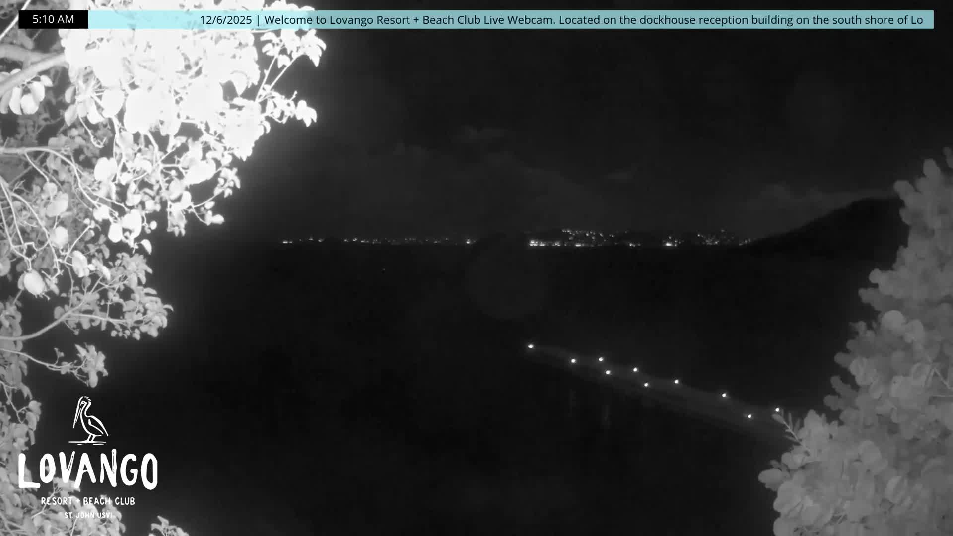A night vision scene captures a dark body of water with a lit pier and a distant illuminated town along the shore, all framed by brightly glowing foliage under a partly cloudy night sky.