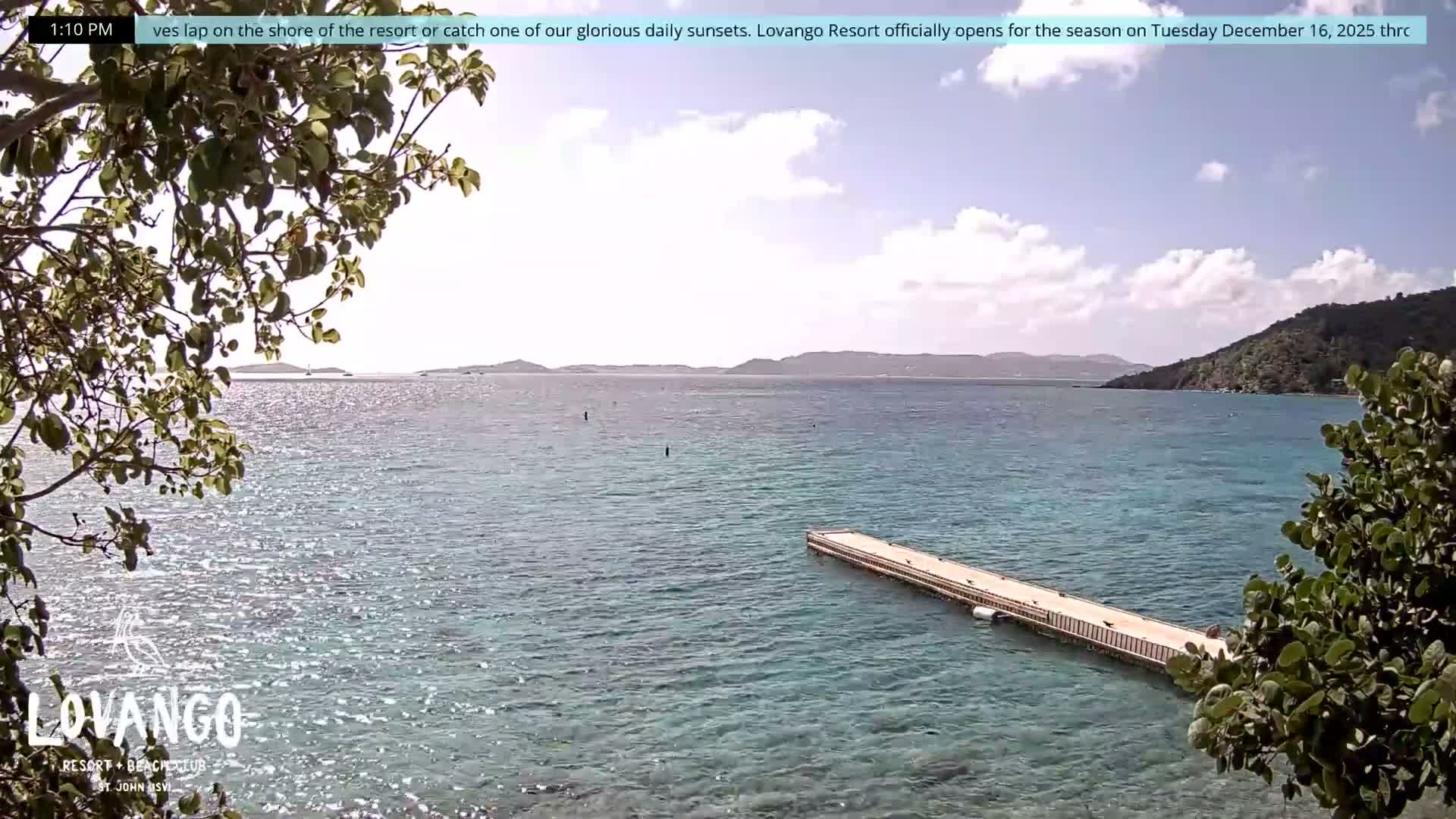 A night vision scene captures a dark body of water with a lit pier and a distant illuminated town along the shore, all framed by brightly glowing foliage under a partly cloudy night sky.