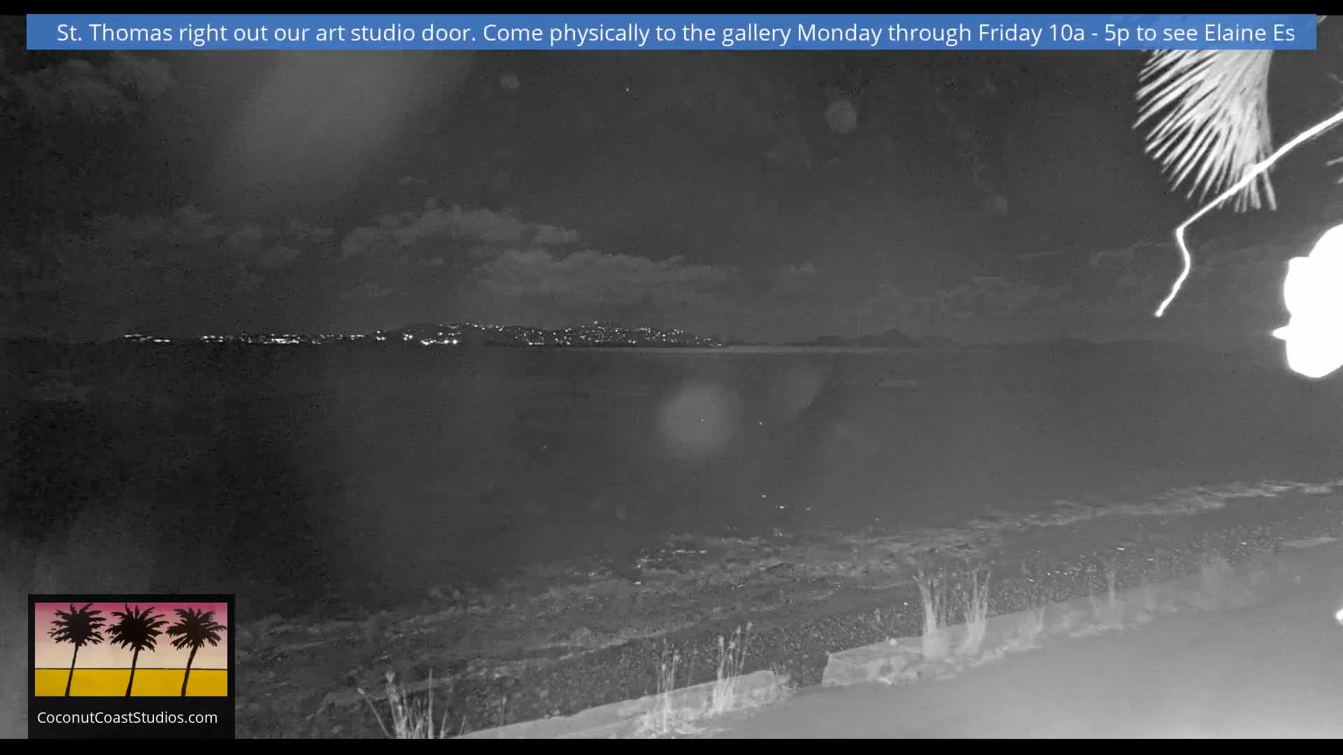A dark, calm night scene shows a distant city skyline illuminated across a body of water, with a partially cloudy sky and some blurred foreground foliage on the right.