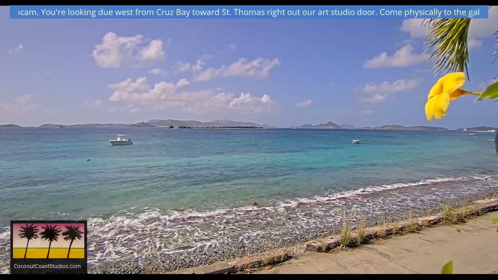 A dark, calm night scene shows a distant city skyline illuminated across a body of water, with a partially cloudy sky and some blurred foreground foliage on the right.