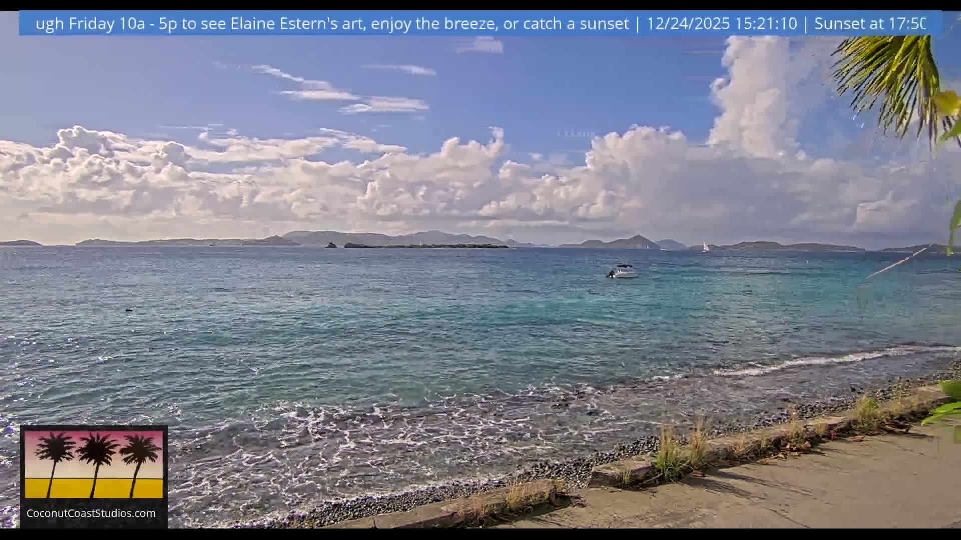 Distant city lights shimmer across a dark body of water under a clear night sky, with blurry foreground vegetation and a bright, overexposed palm frond visible on the right.