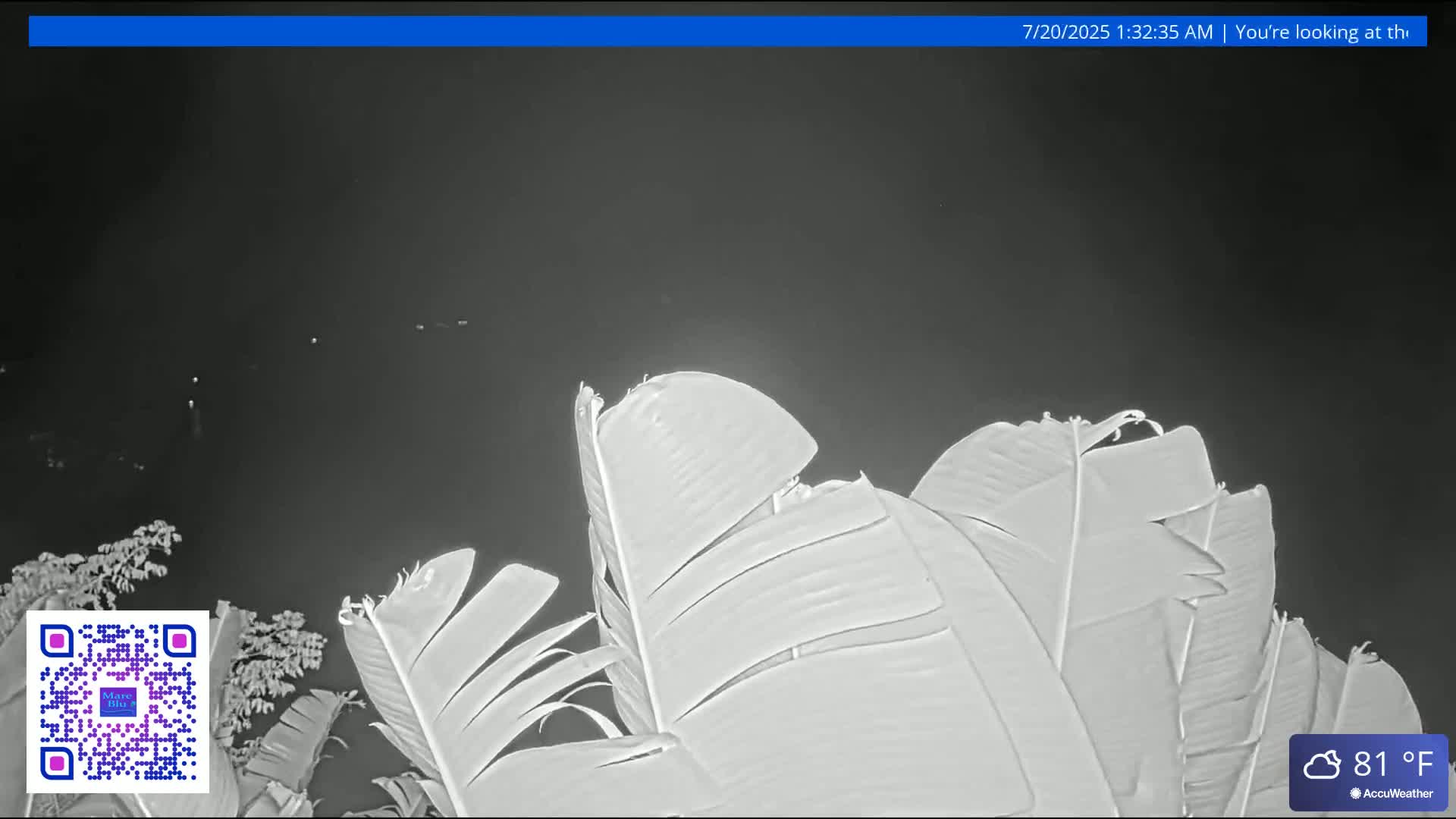 St. John, Rendezvous Bay Live Cam - Cruz Bay, St. John, United States Virgin Islands, USA