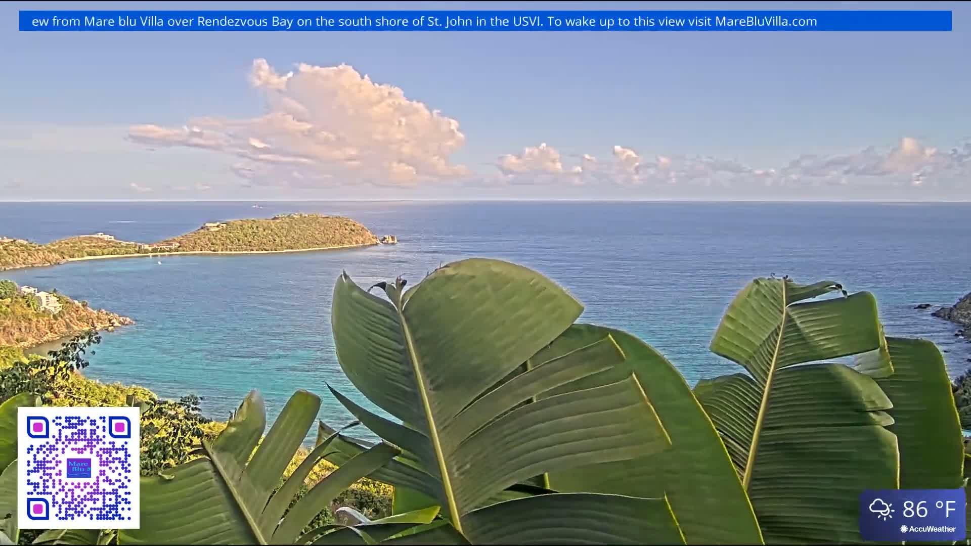 A tranquil bay with turquoise water is partially obscured by large green leaves, under a partly cloudy sky.