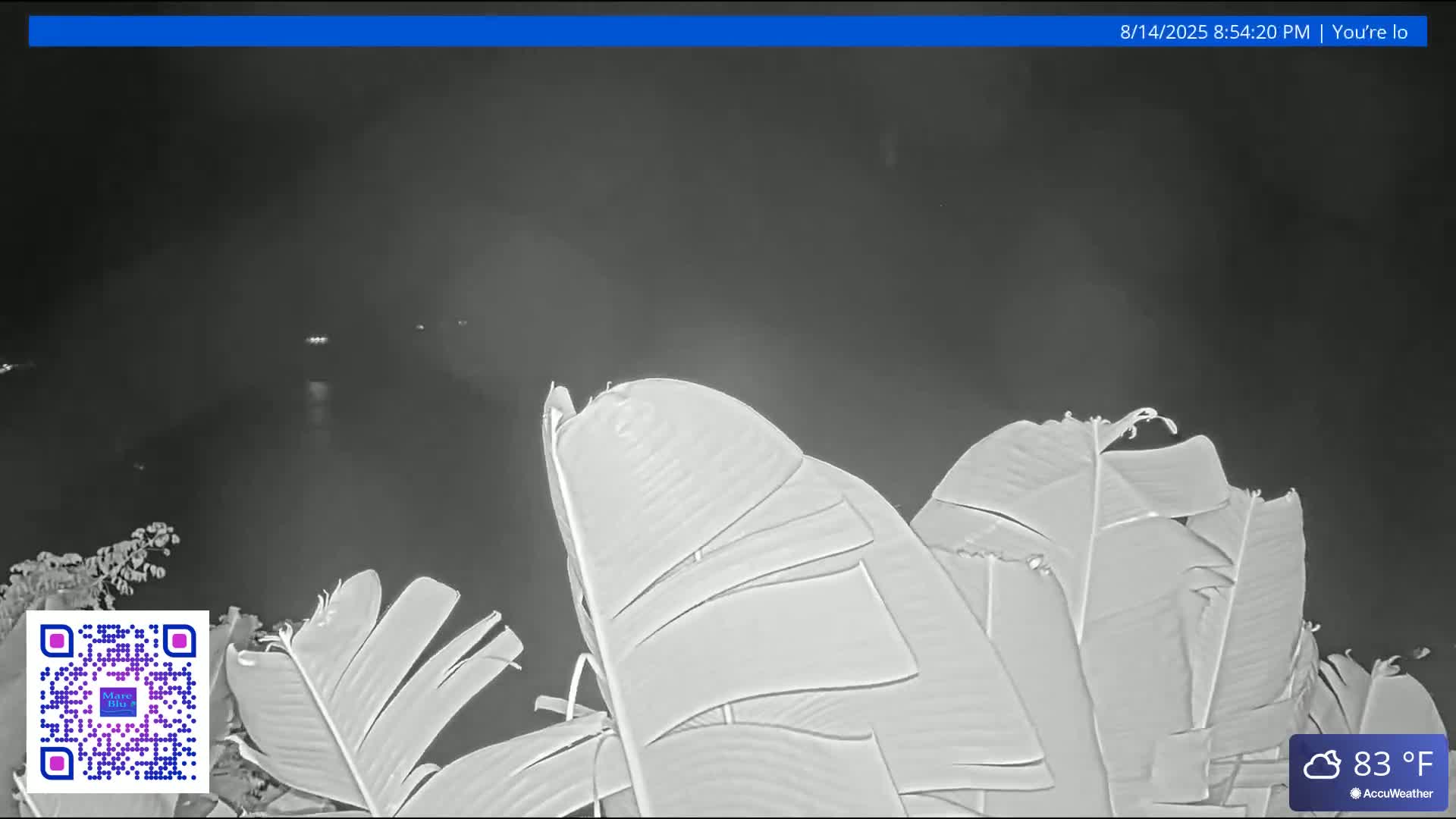 St. John, Rendezvous Bay Live Cam - Cruz Bay, St. John, United States Virgin Islands, USA