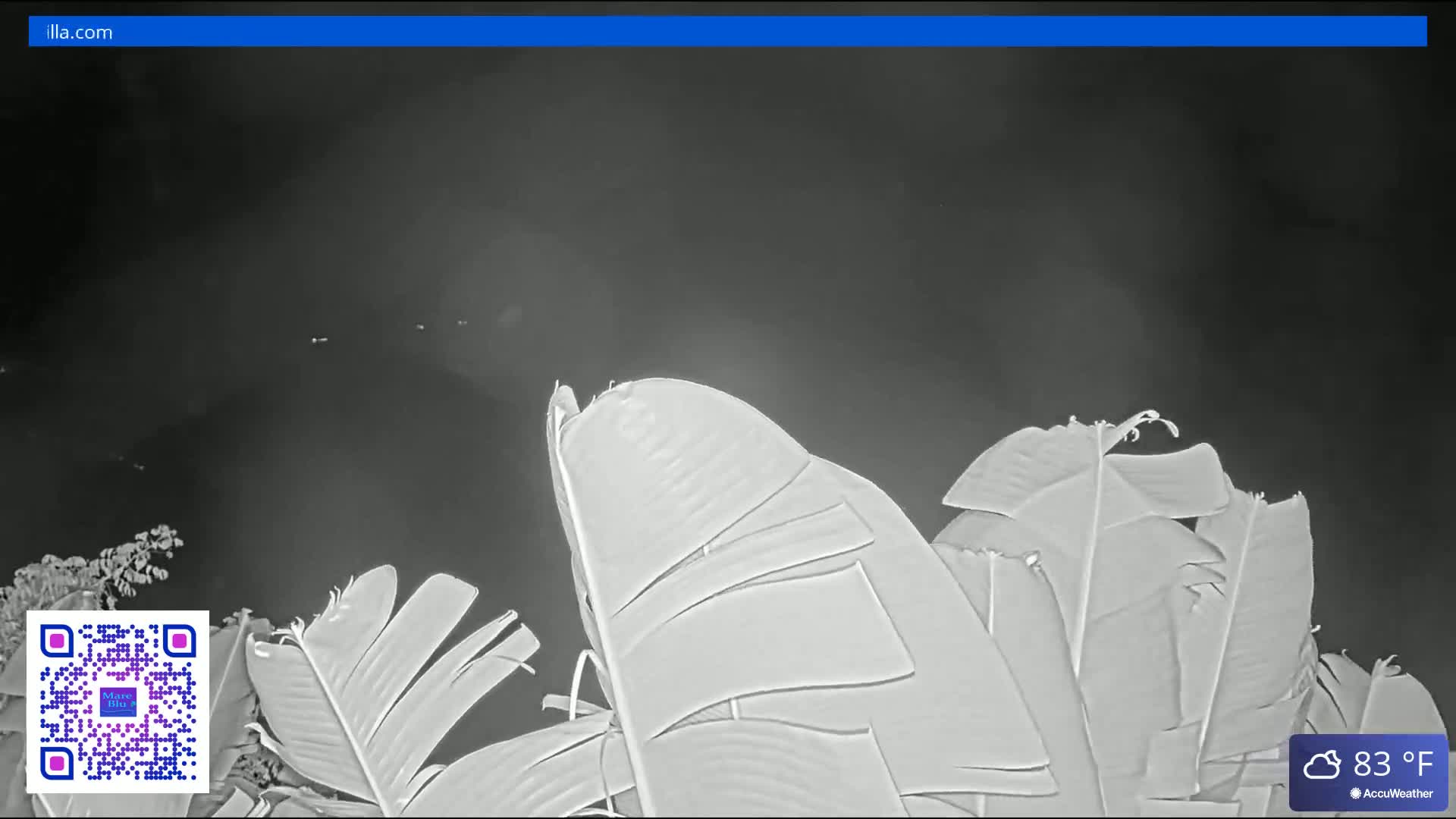 St. John, Rendezvous Bay Live Cam - Cruz Bay, St. John, United States Virgin Islands, USA