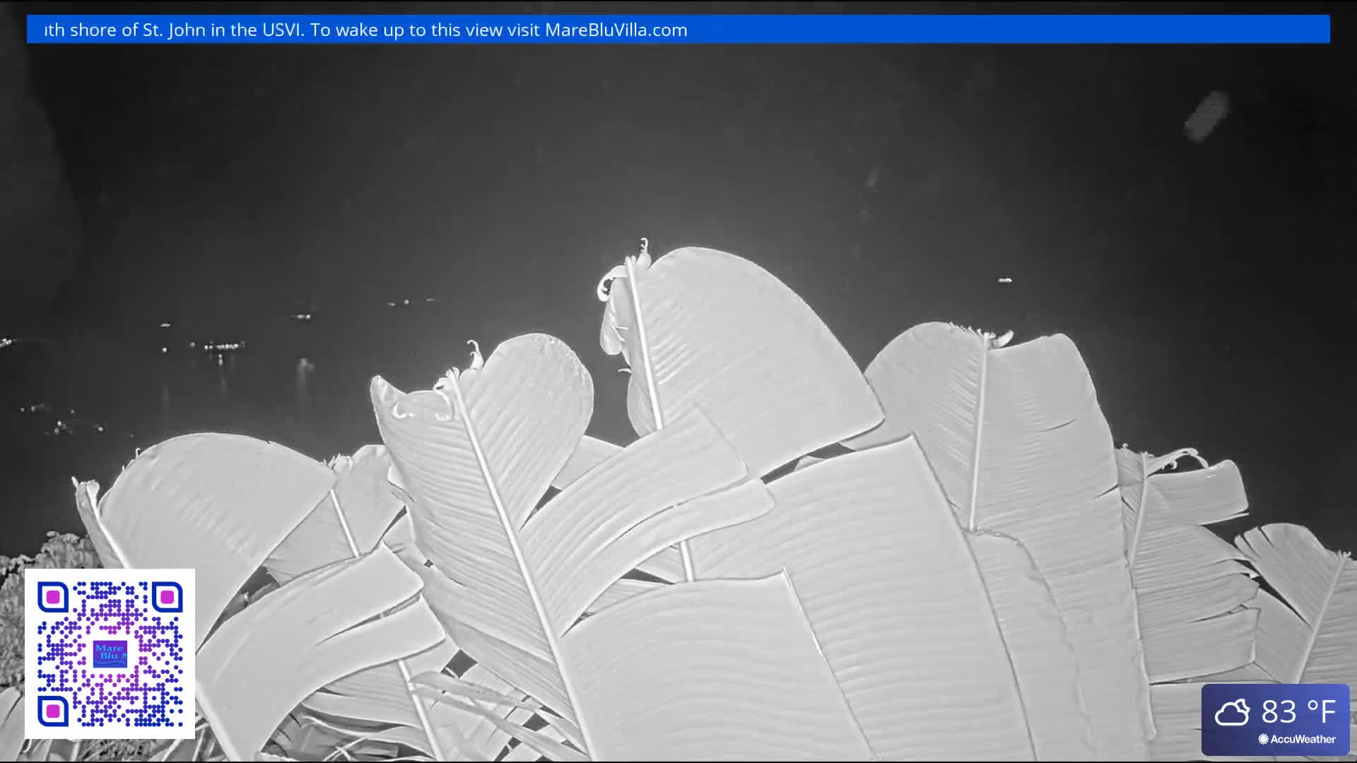 St. John, Rendezvous Bay Live Cam - Cruz Bay, St. John, United States Virgin Islands, USA