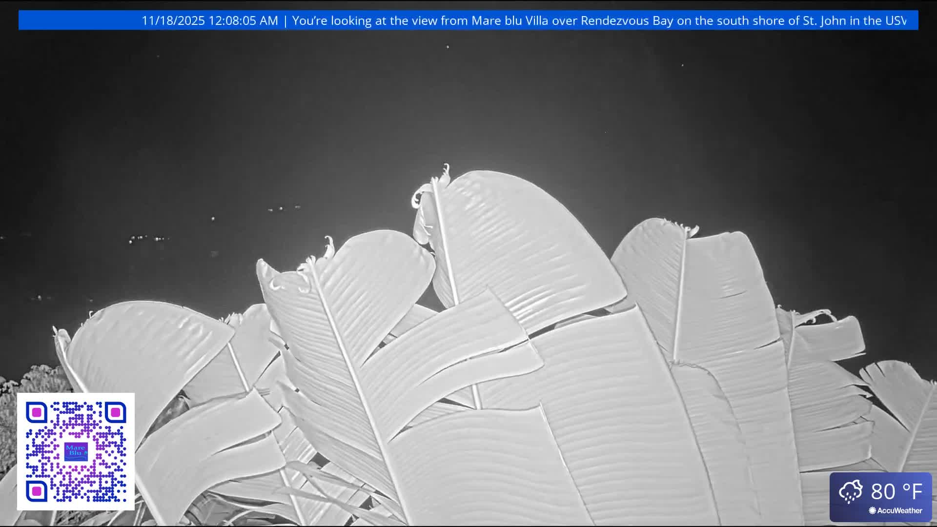 The image displays a uniform, dark black background with a subtle, fine-grained texture.