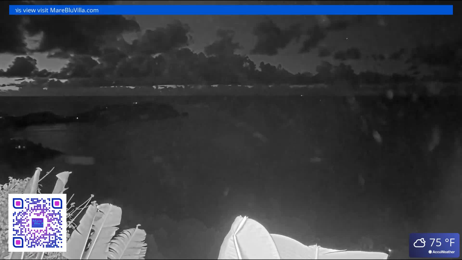 A grayscale night scene overlooks a cloudy ocean with distant land illuminated by faint lights, featuring foreground foliage and falling rain, with a temperature of 75°F.