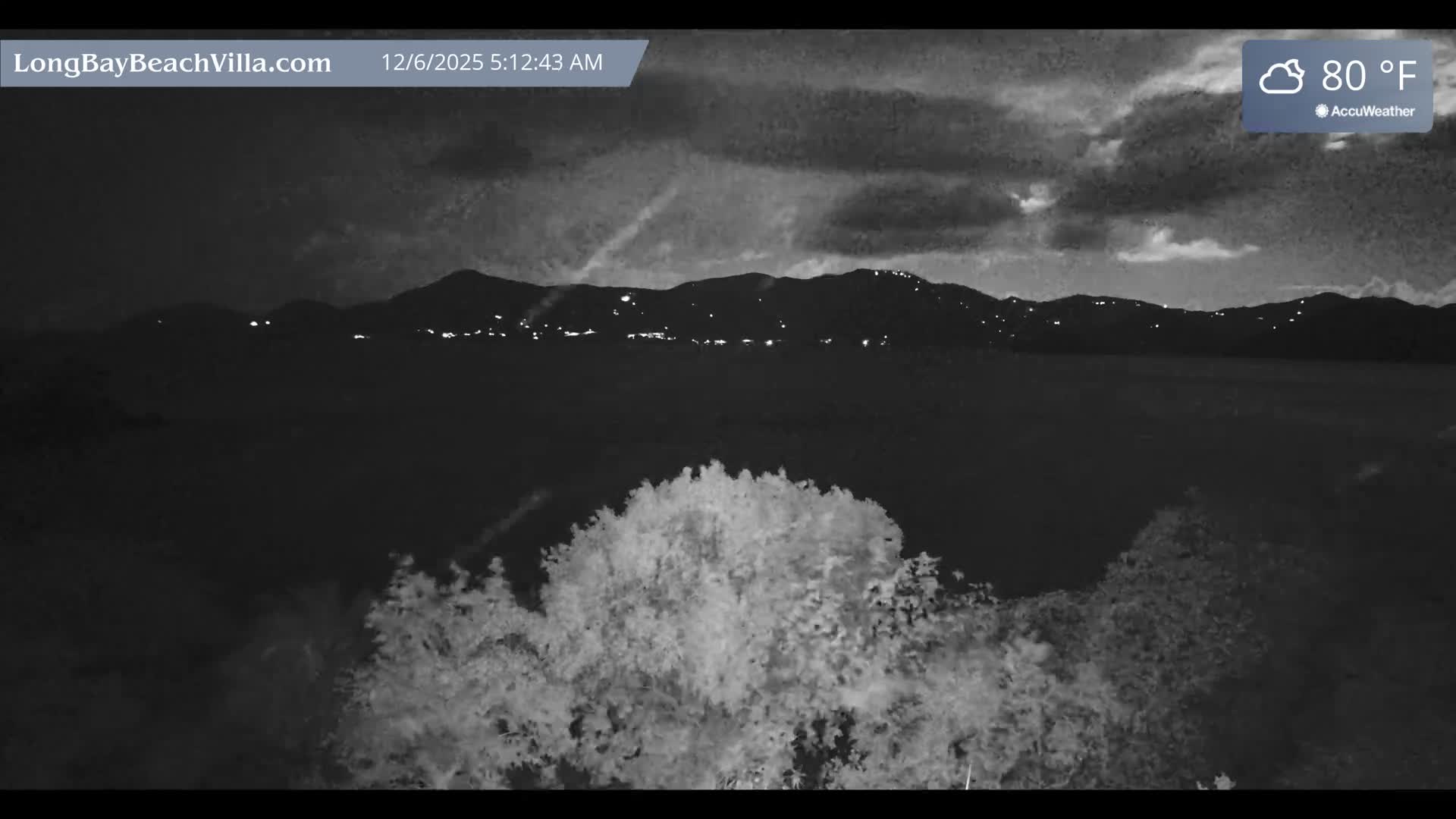 A cloudy night view depicts a dark body of water flanked by distant illuminated mountains and prominent, bright foliage in the foreground.