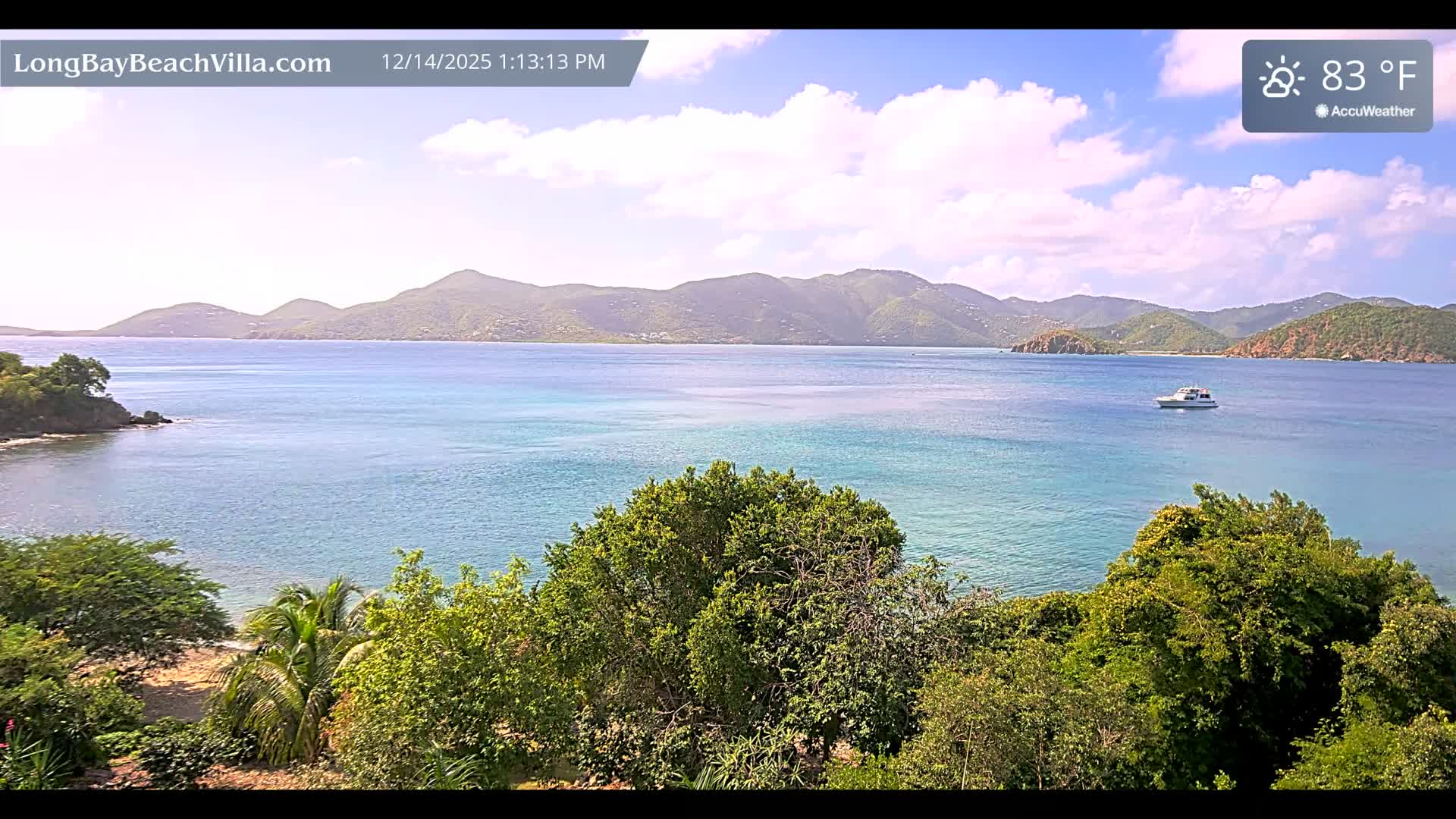 A cloudy night view depicts a dark body of water flanked by distant illuminated mountains and prominent, bright foliage in the foreground.