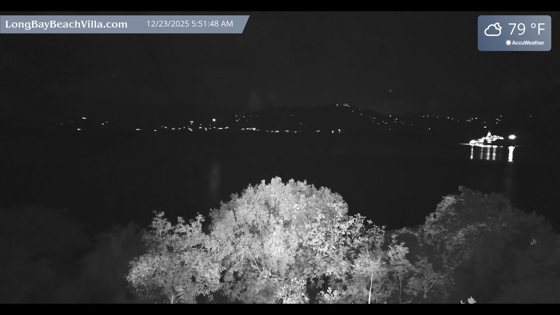 A partly cloudy night at 79°F reveals brightly illuminated trees in the foreground, looking out over a calm body of water featuring distant shore lights and an illuminated vessel.