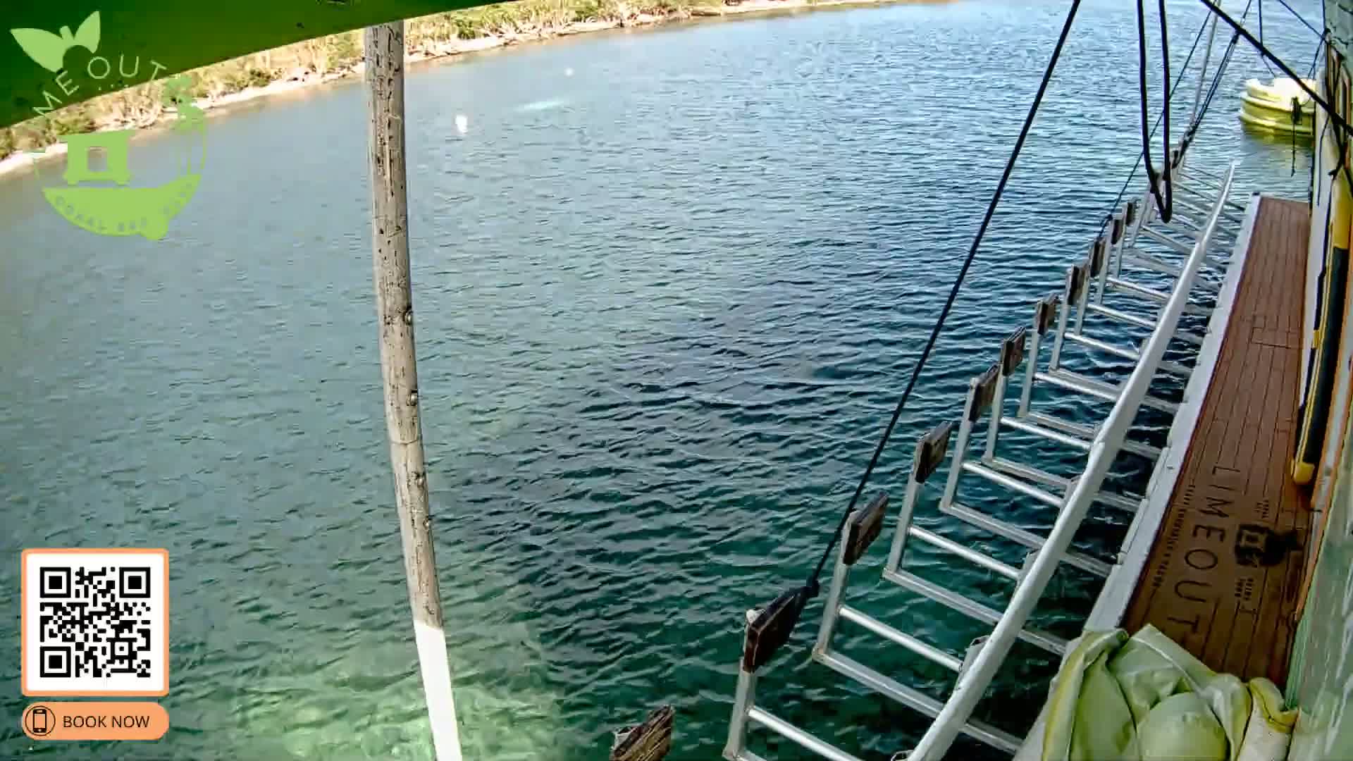 St. John,  Coral Bay Taco Boat  Live Cam - Eden, Coral Bay, St. John, United States Virgin Islands, USA