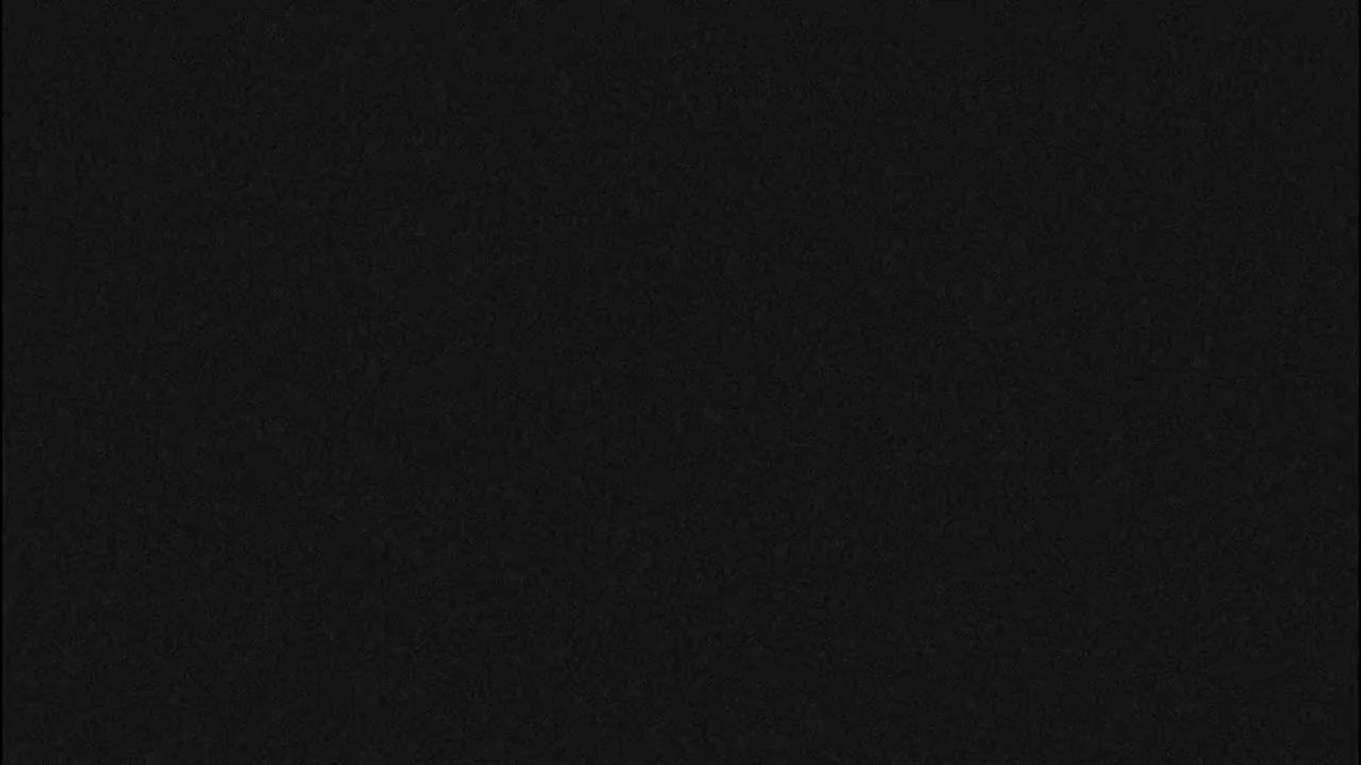 A completely black image with a subtle, uniform dark grey noise or texture.