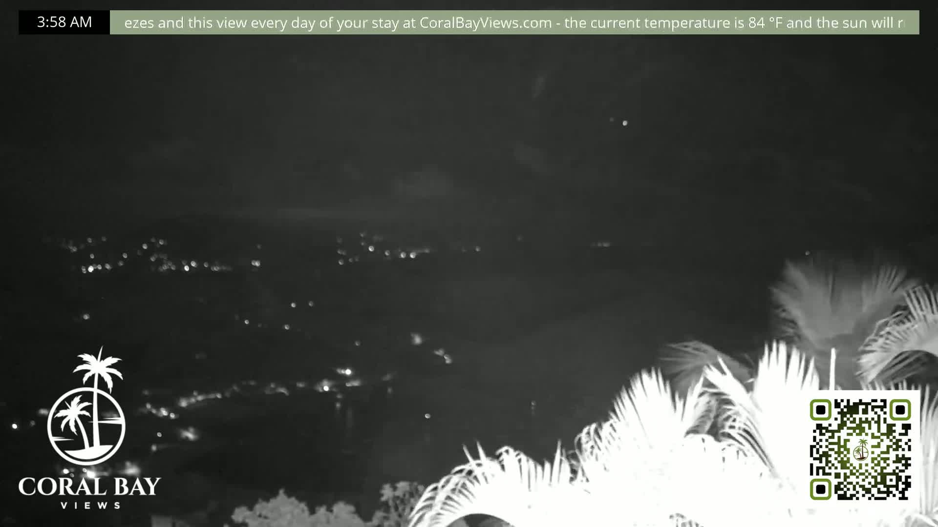 A nighttime, low-light view shows a distant collection of lights below, partially obscured by palm trees in the foreground.