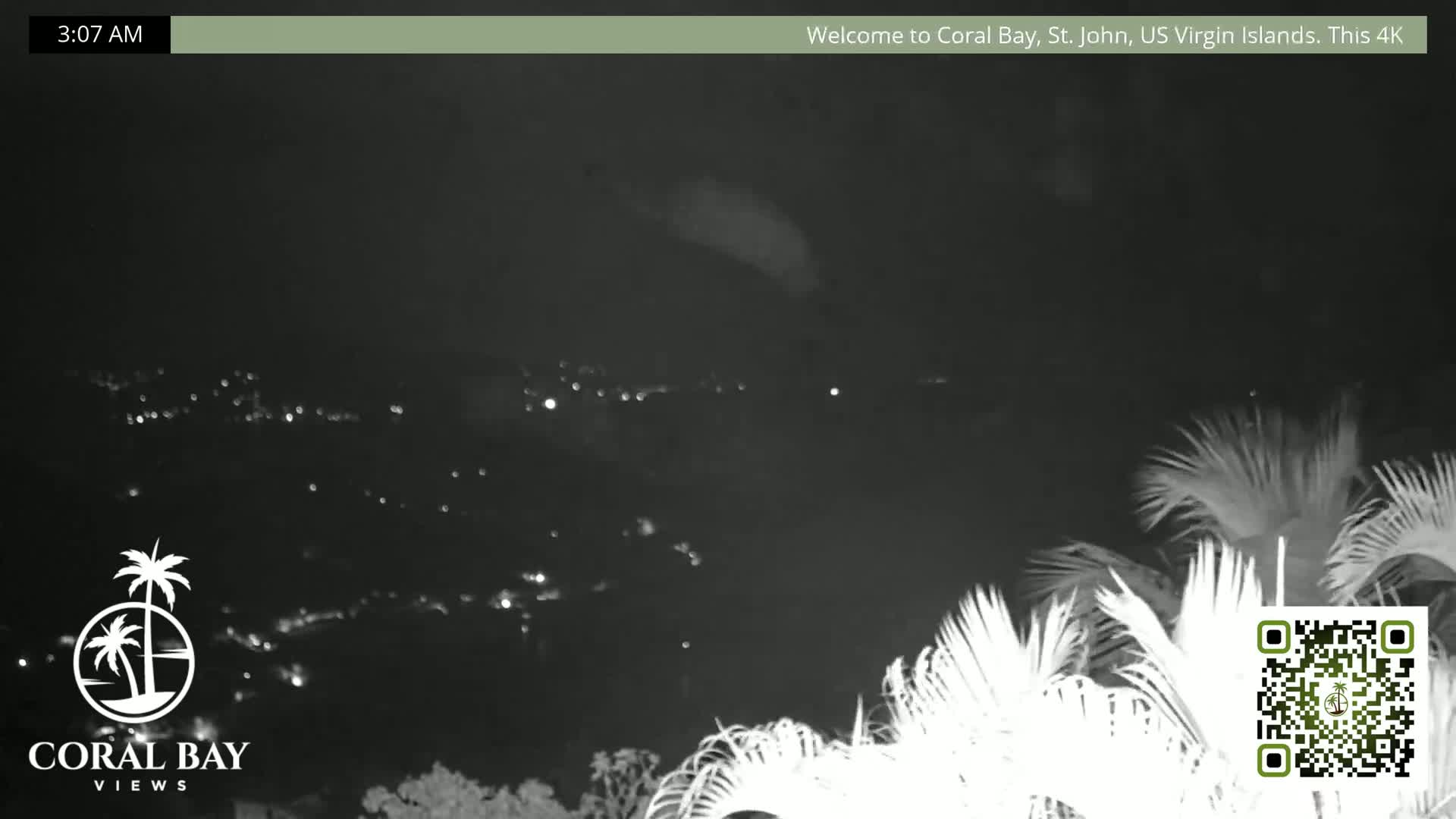 A nighttime, low-light view shows distant city lights below a mostly clear sky, partially obscured by palm trees in the foreground.