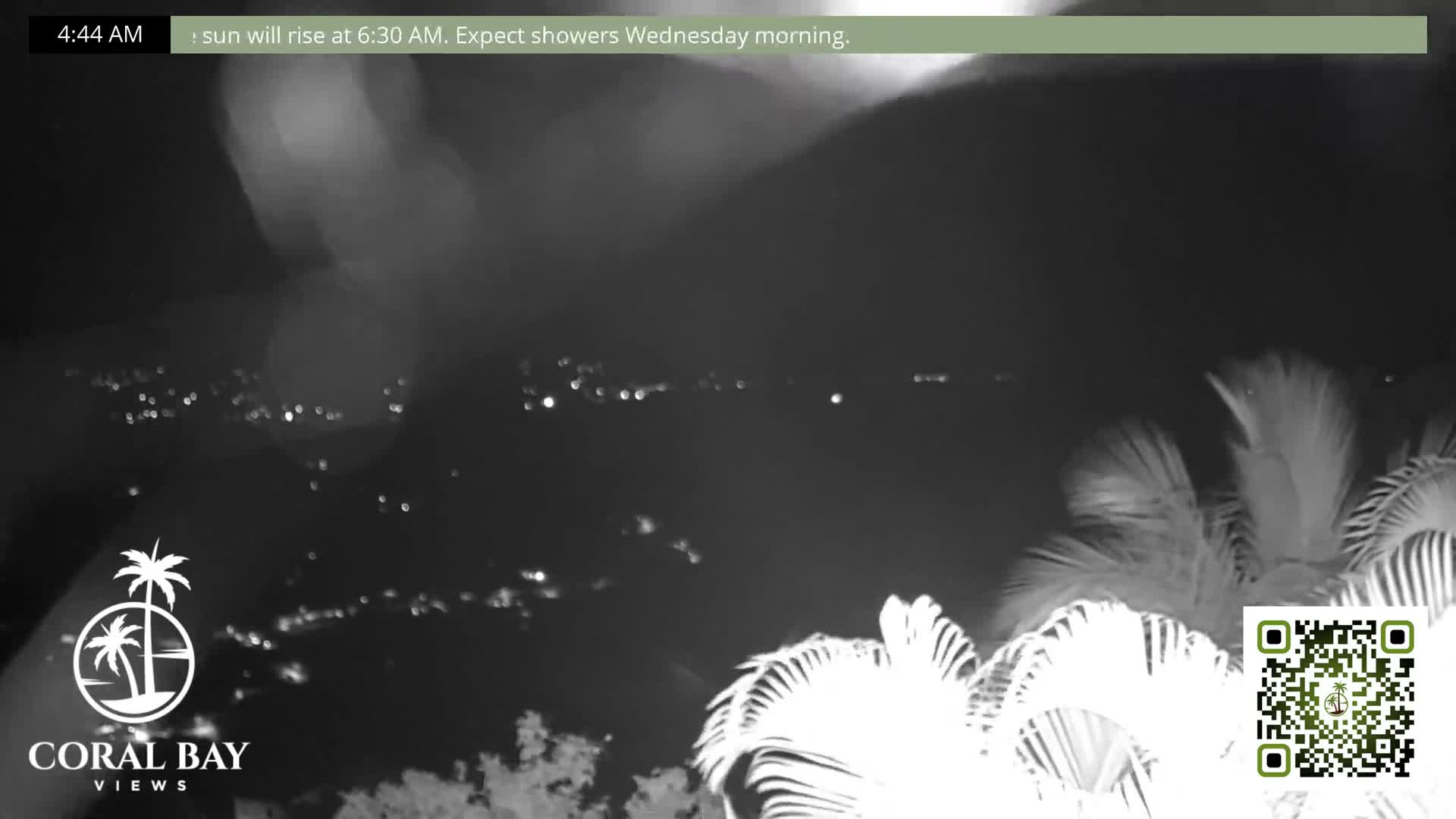 A black and white night vision image shows a distant illuminated coastline or city across a body of water, with prominent palm fronds in the foreground under a clear night sky.