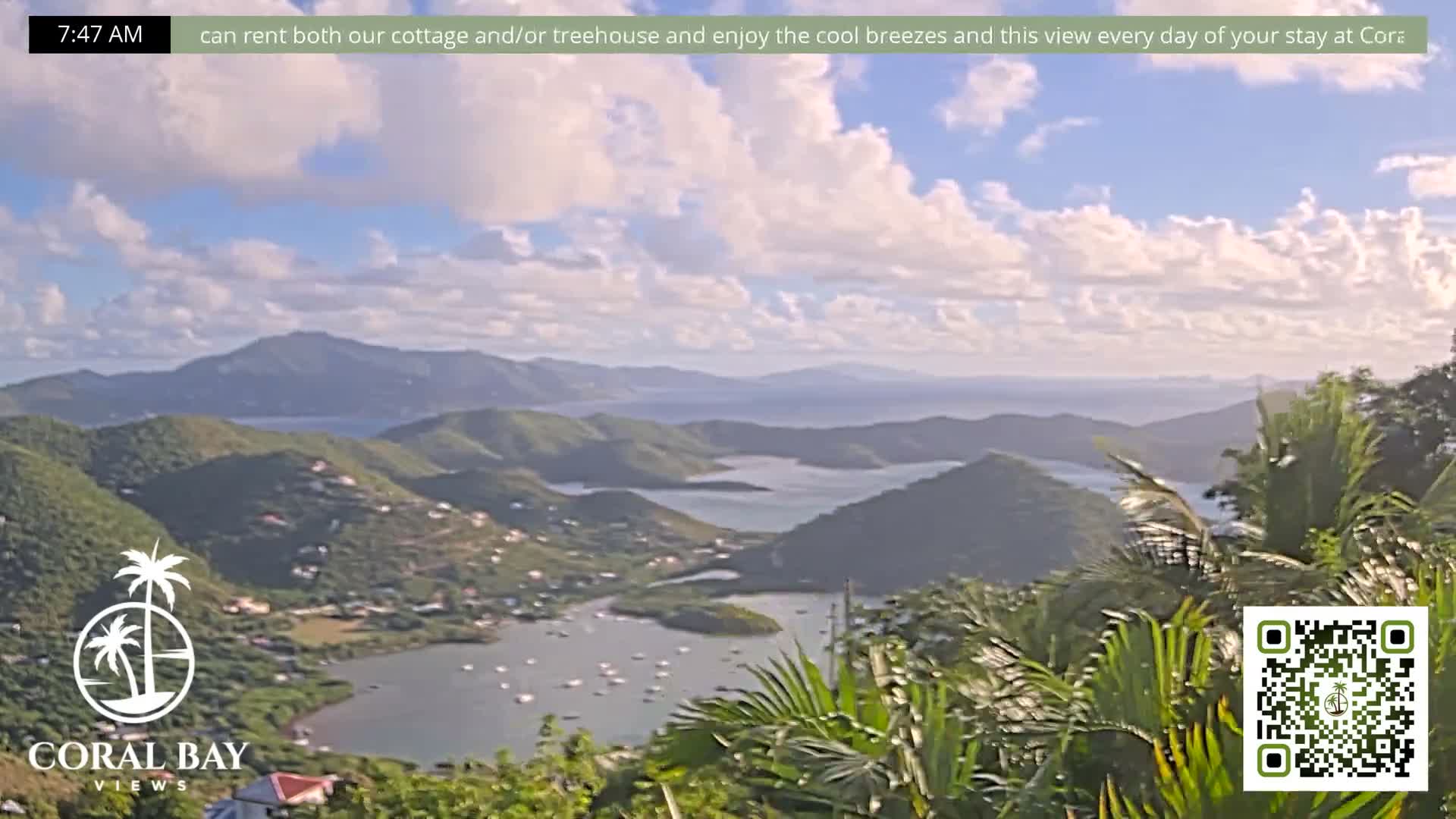 A black and white night vision image shows a distant illuminated coastline or city across a body of water, with prominent palm fronds in the foreground under a clear night sky.