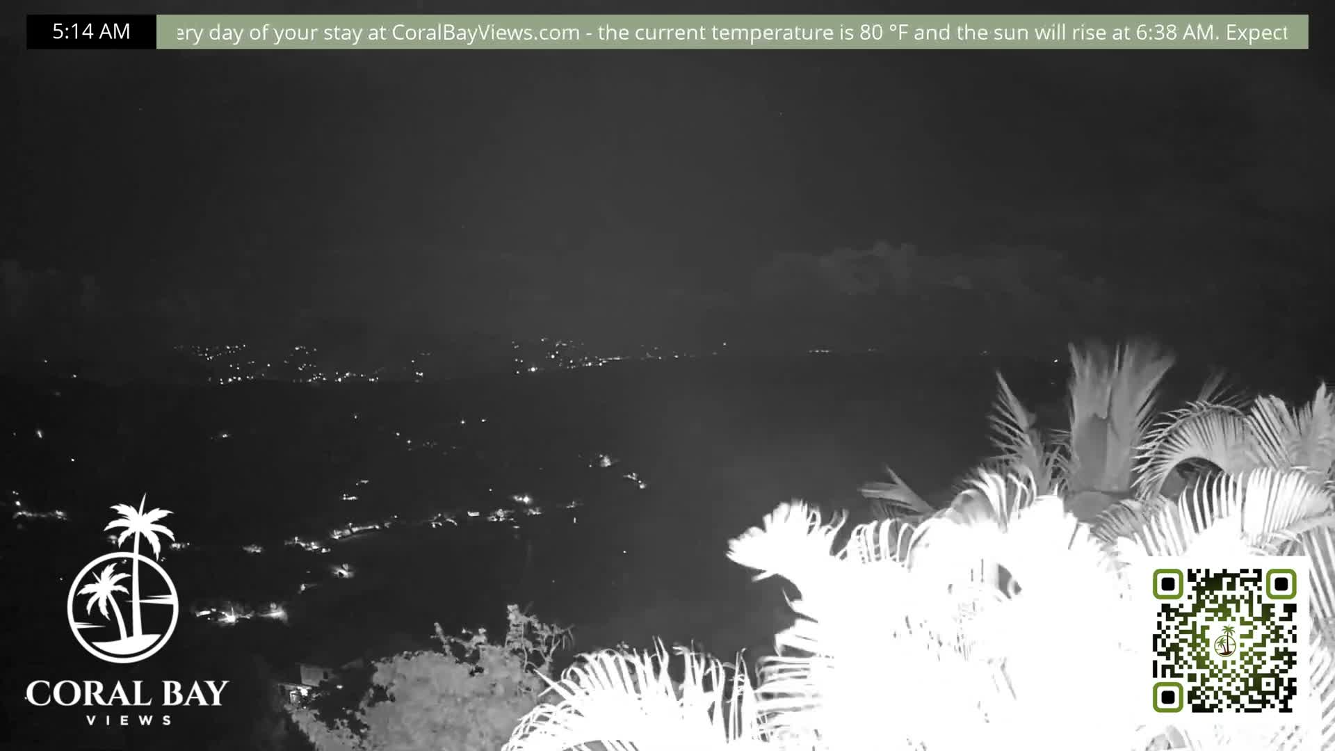 A clear night showcases a coastal landscape from an elevated perspective, featuring a sprawling array of city lights stretching along the horizon and prominently illuminated palm fronds in the foreground.
