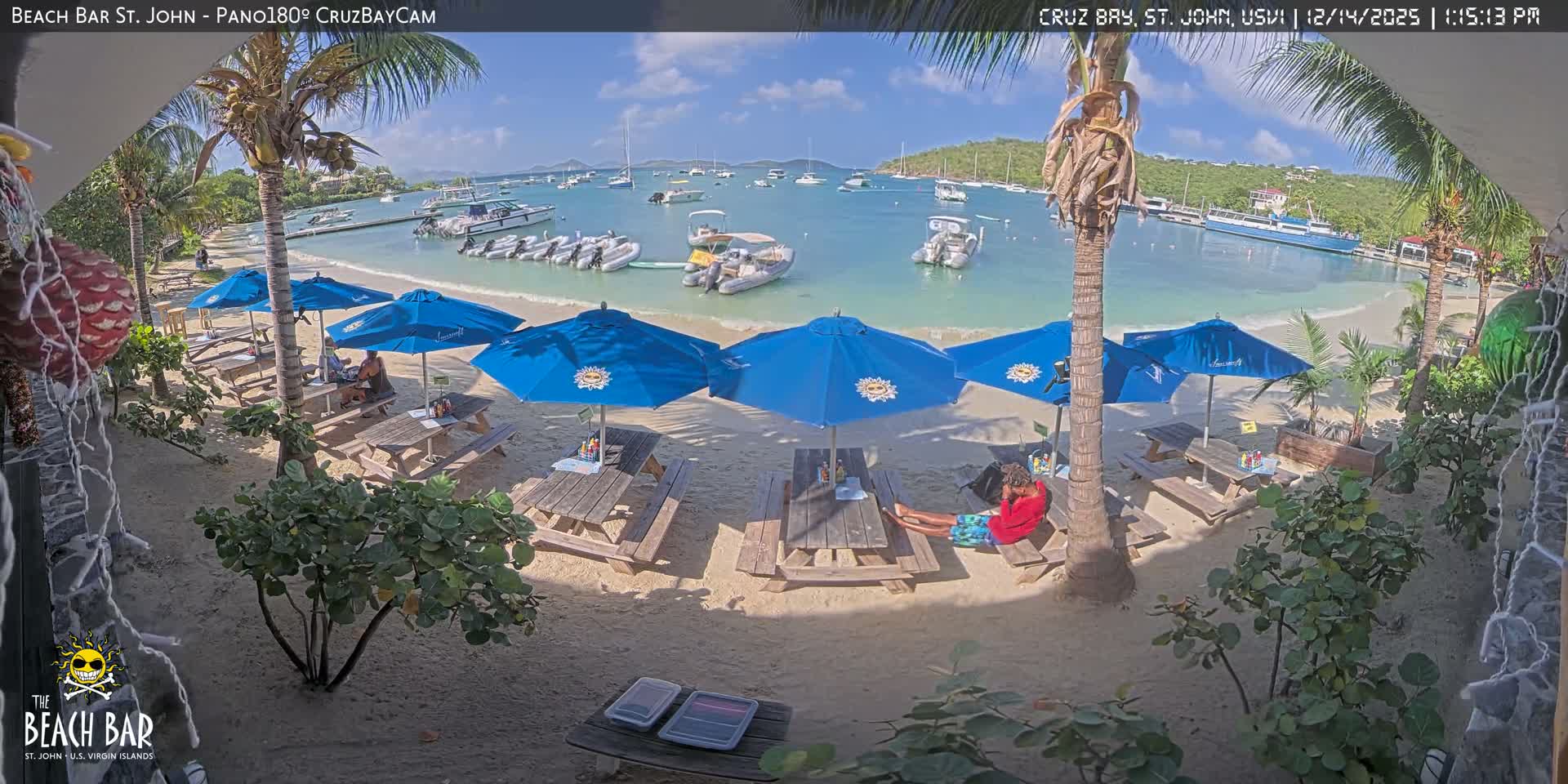 A serene nighttime view captures a sandy beach with several picnic tables and closed blue umbrellas surrounded by palm trees and lush foliage, facing a calm bay dotted with numerous anchored boats under clear, calm weather.