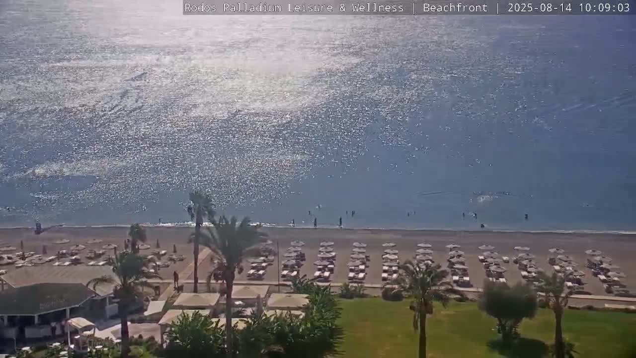 A sunny day shows a beach with rows of lounge chairs and umbrellas, a calm sea with some people swimming, and palm trees bordering a grassy area.