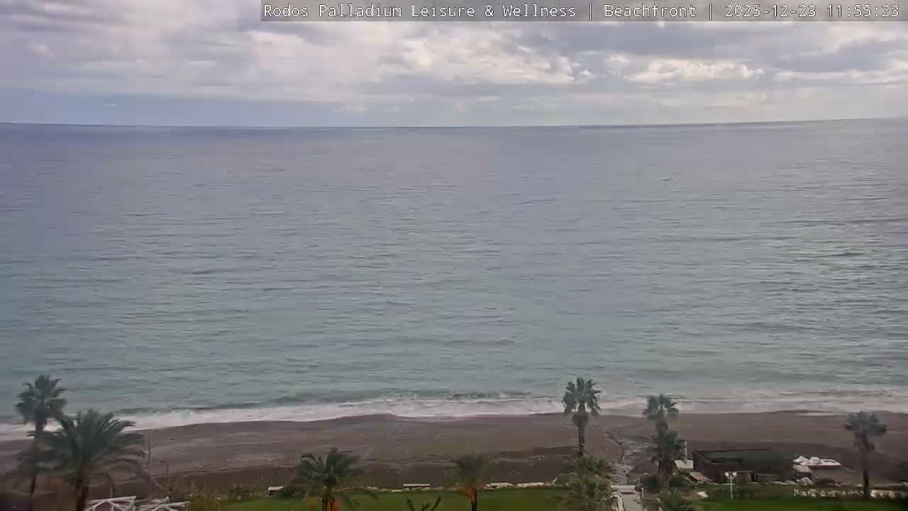 The image depicts an overcast day at a tranquil beach with grayish-blue sea water gently washing a pebbly shore, framed by several palm trees and green grass in the foreground.