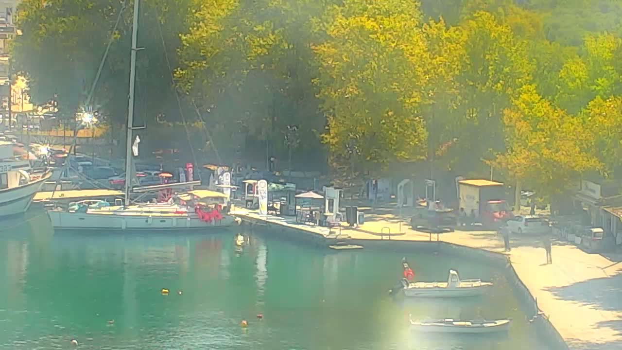 A marina with several boats docked, a walkway lined with trees and small buildings, and calm, clear green water on a sunny day.