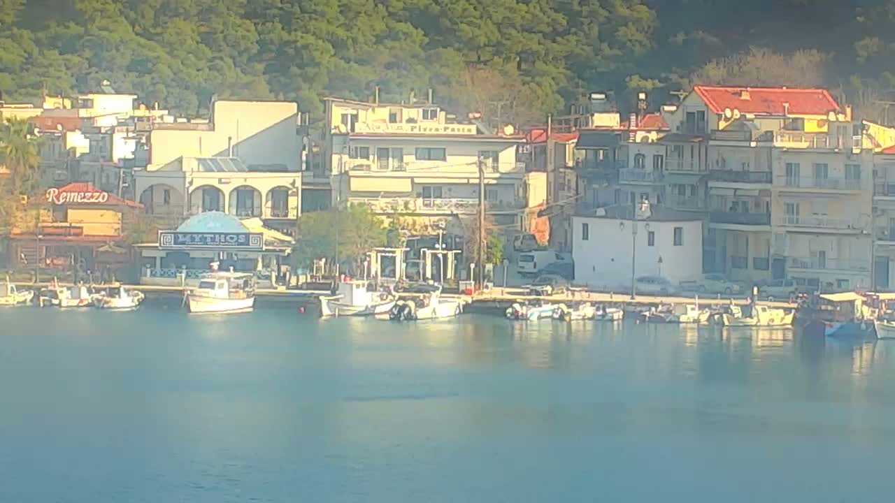A vibrant coastal town is seen with numerous small boats docked along a calm, reflective waterfront, backed by an array of multi-story buildings and a verdant hillside under clear and bright conditions.